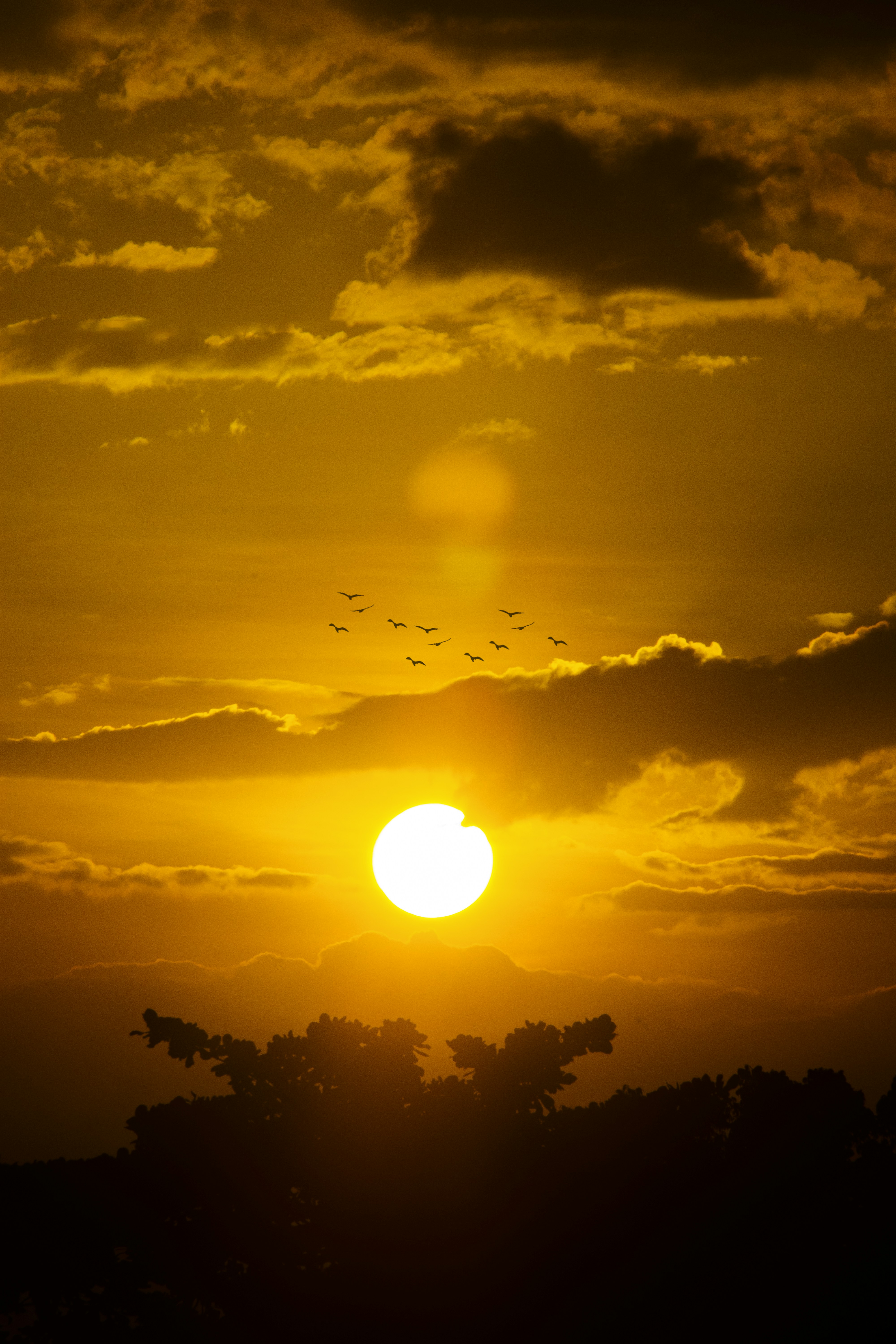 Photo by roadahead_2223