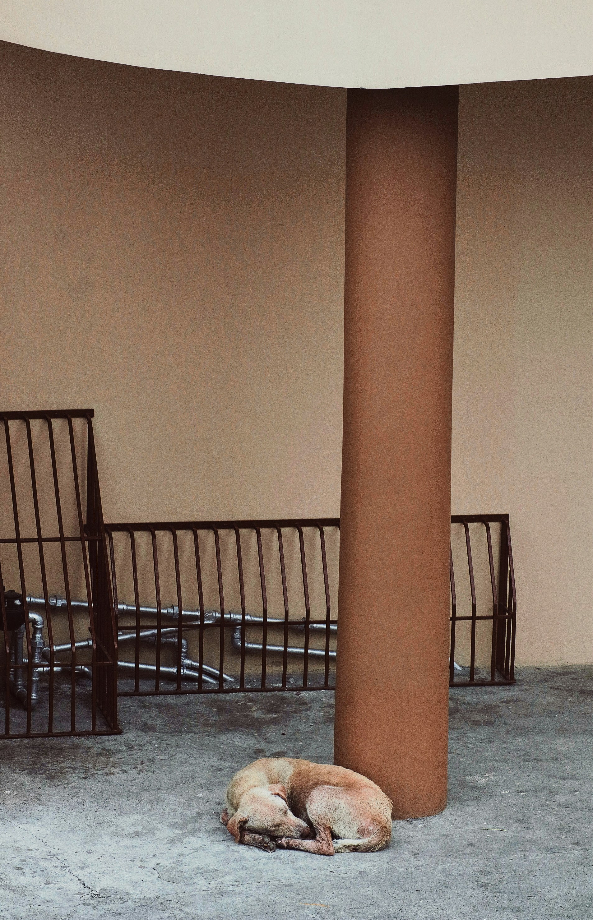 Photo by roadahead_2223