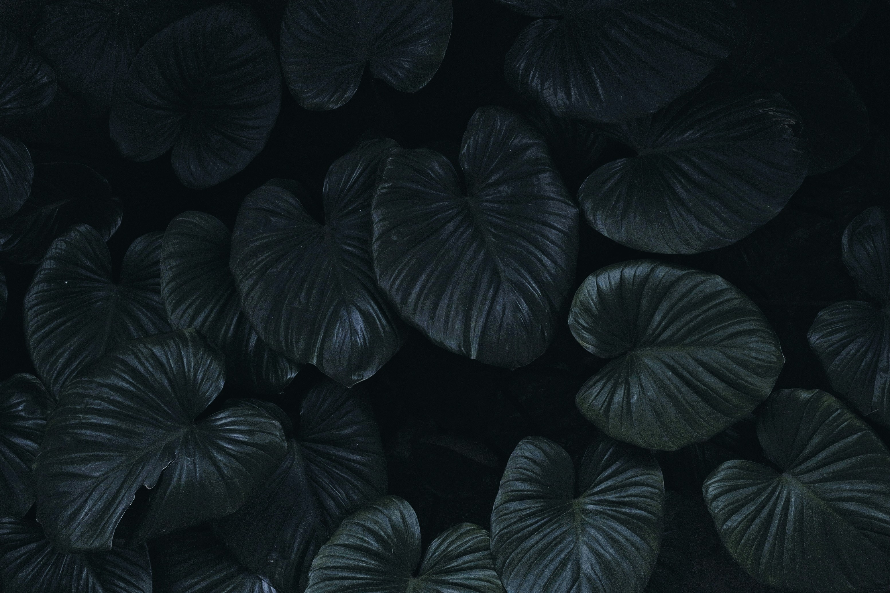 Photo by roadahead_2223