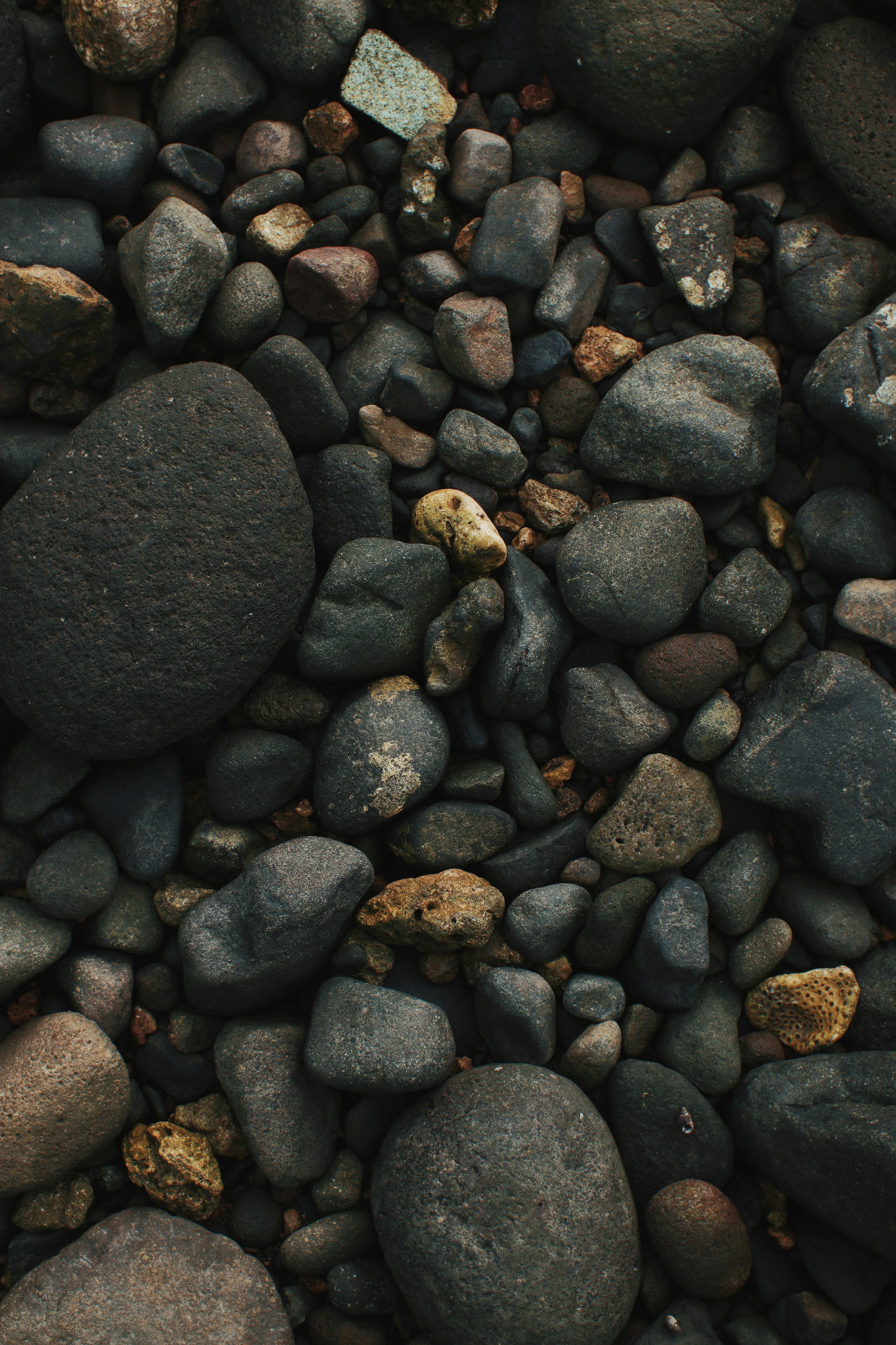 Photo by roadahead_2223