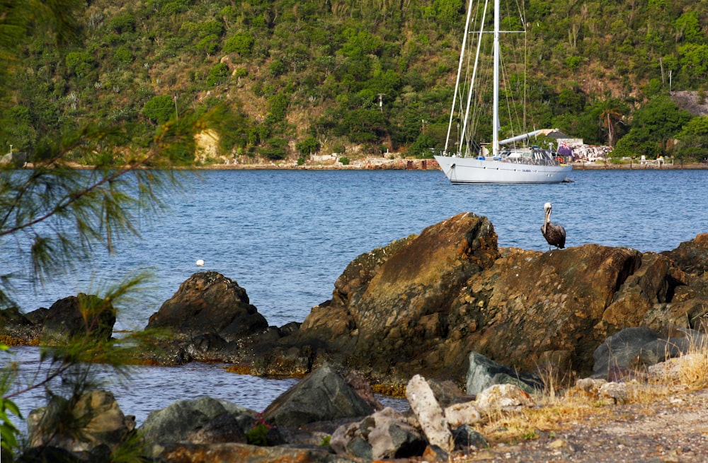 a boat on a body of water near rocks