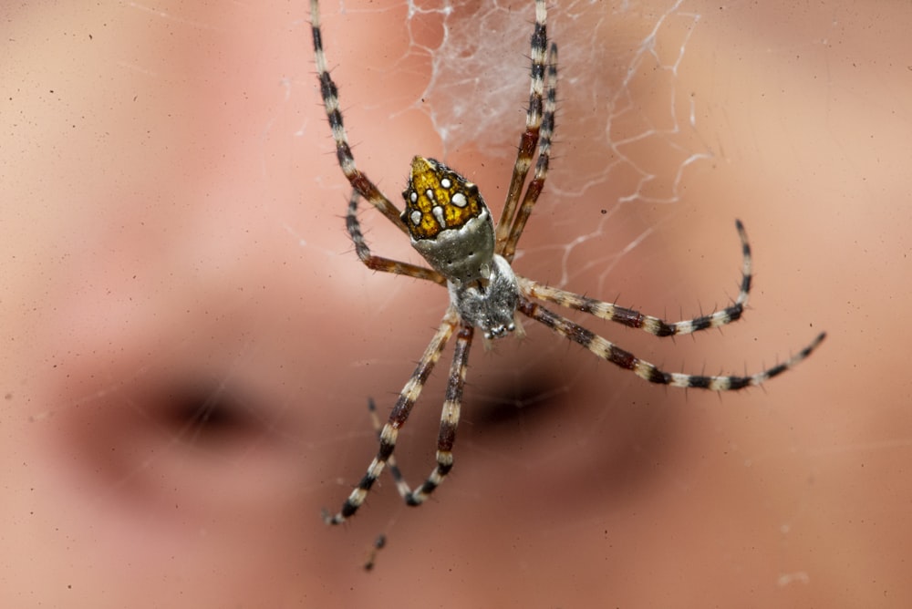a close up of a spider on a person's face