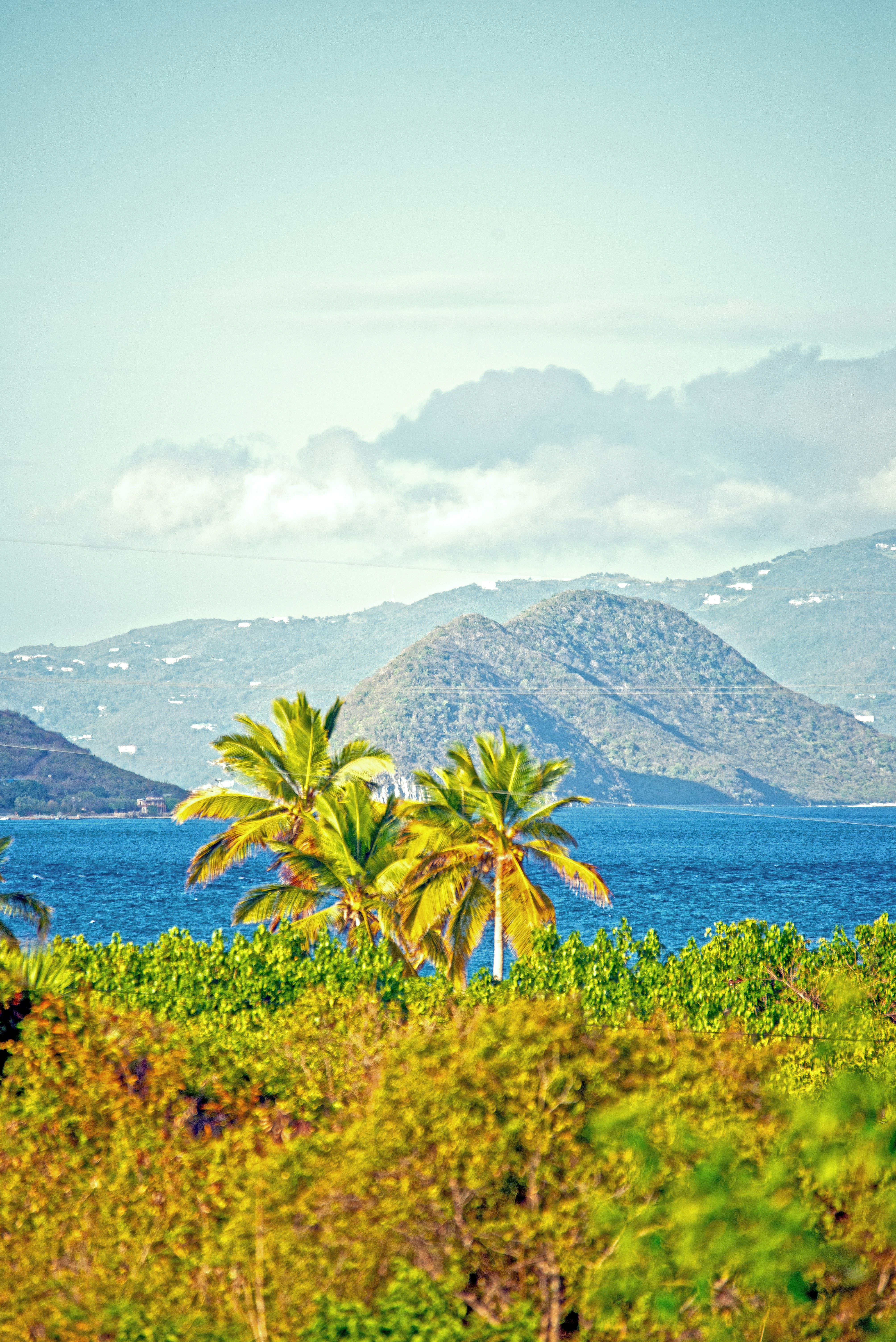 Photo by climatechangevi