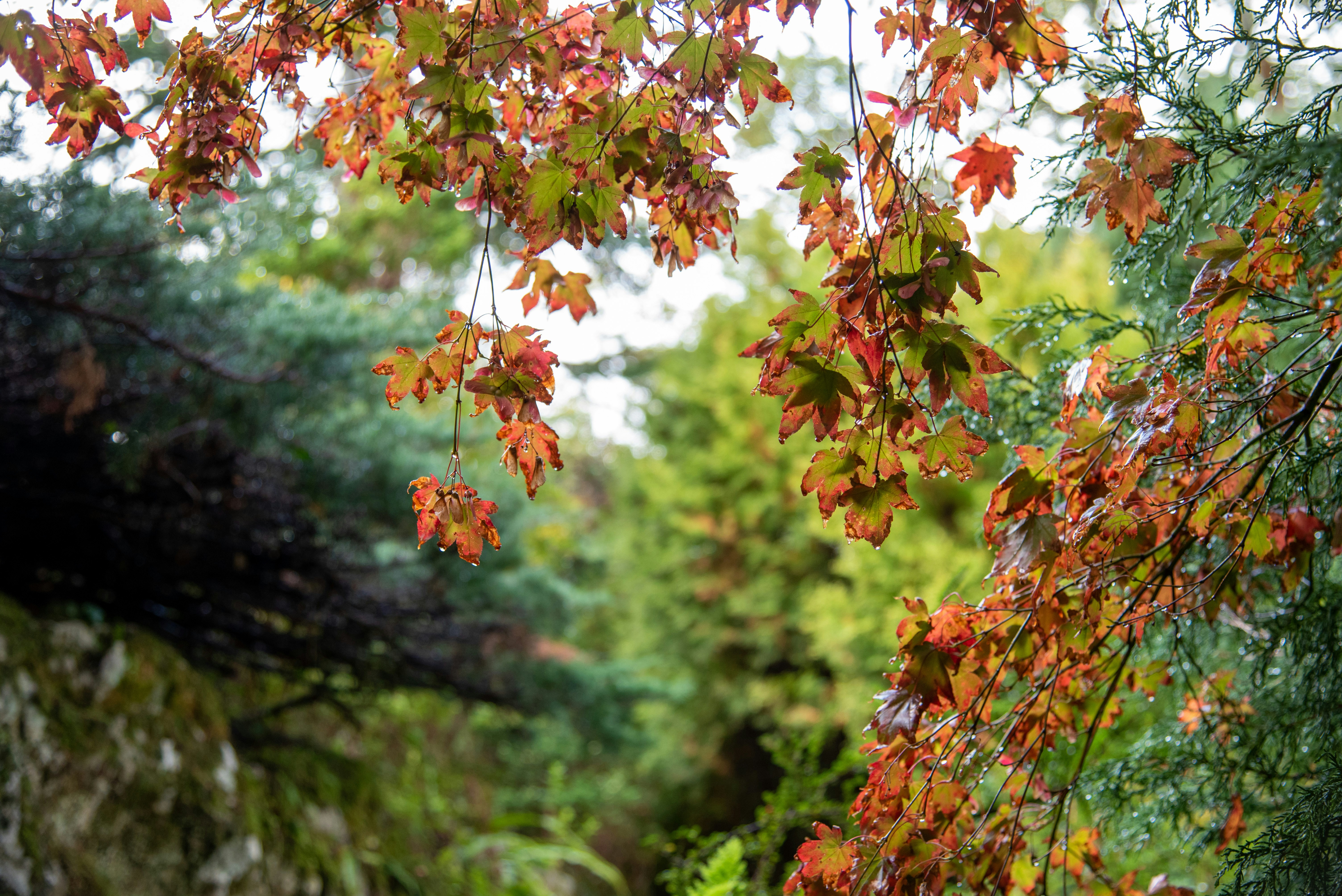 Photo by mister_spinalzo