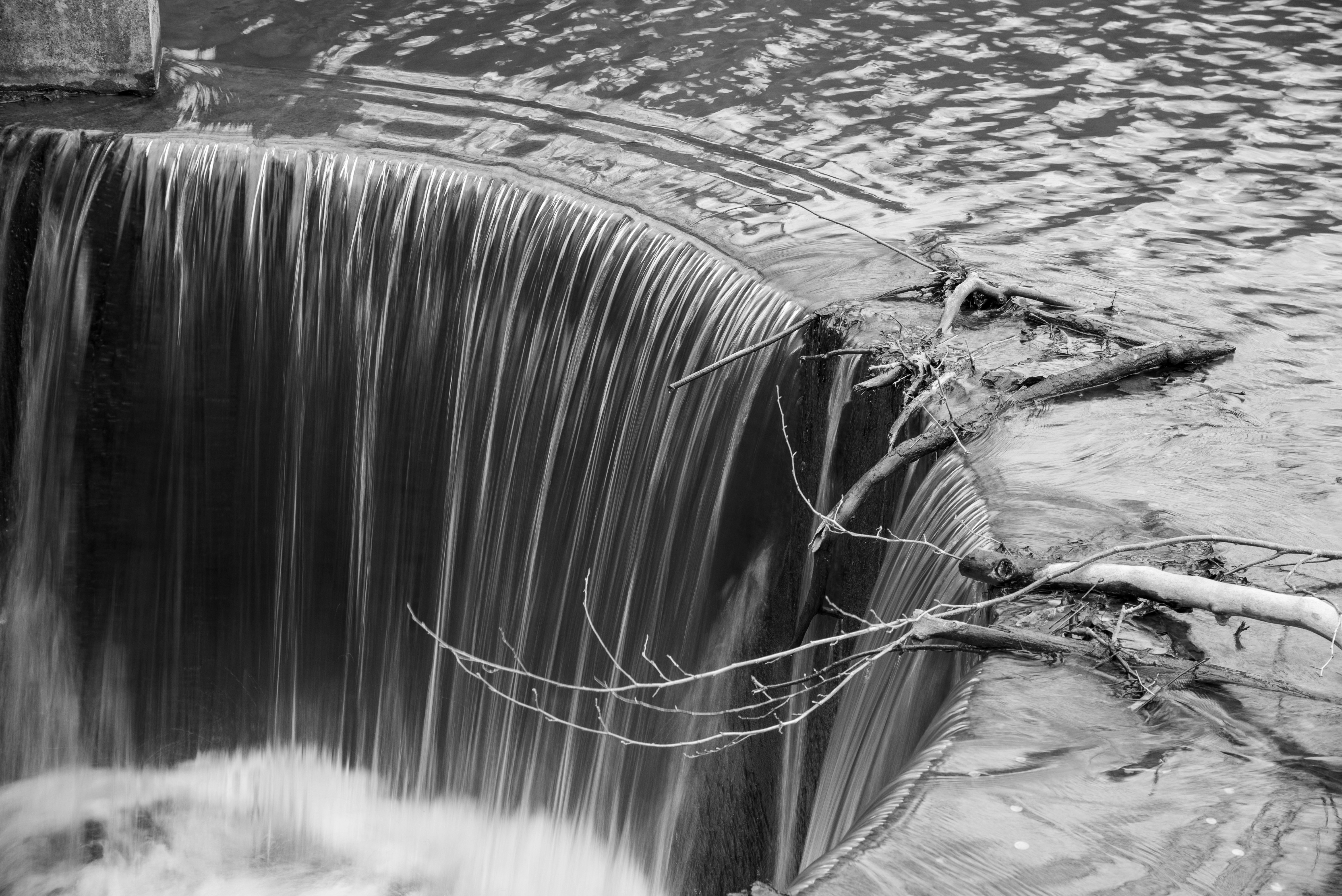 Photo by mister_spinalzo