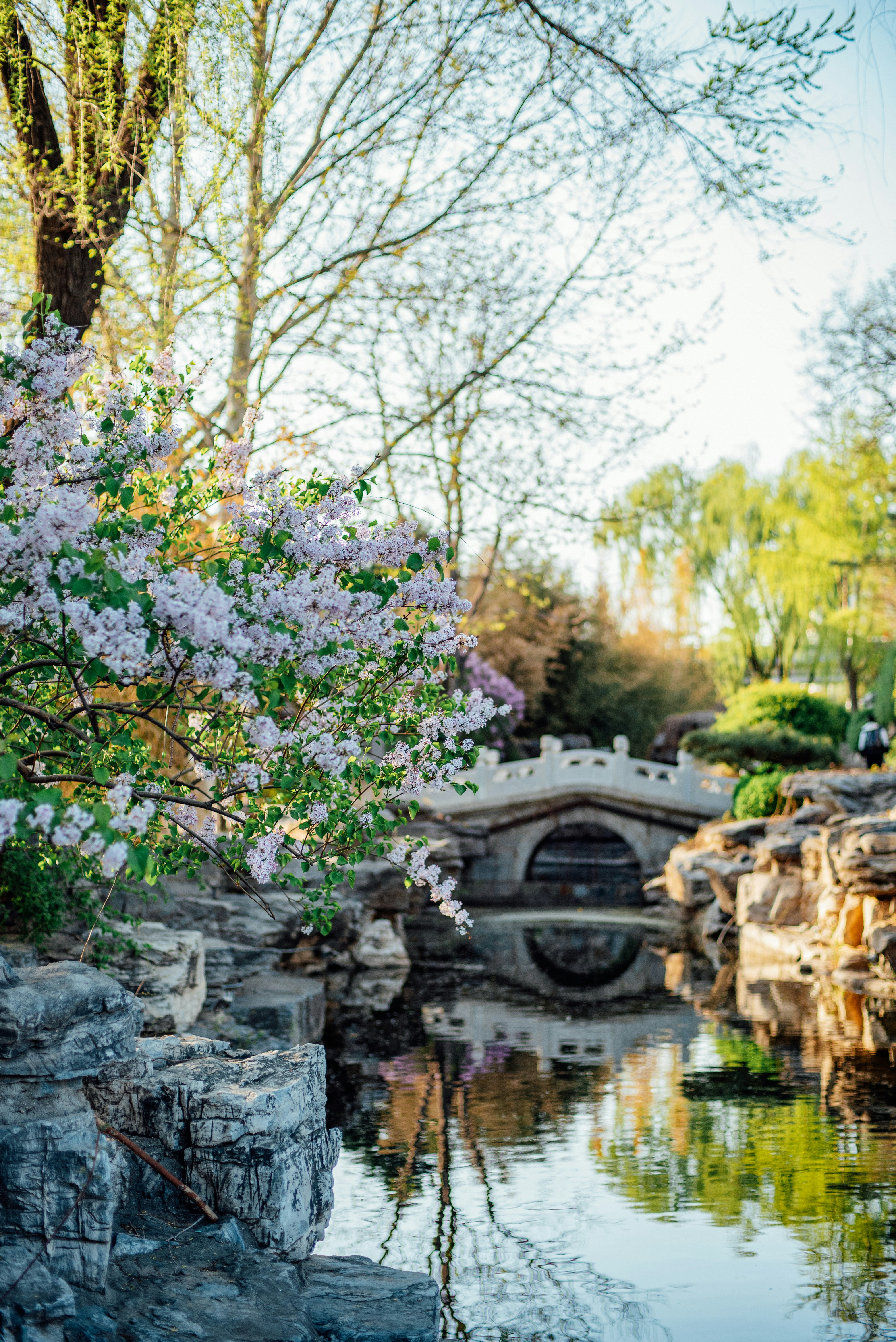 Photo by tommaomaoer