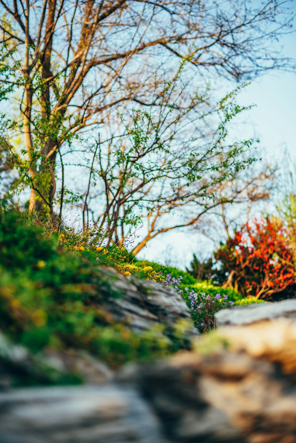 a red fire hydrant sitting on top of a lush green hillside