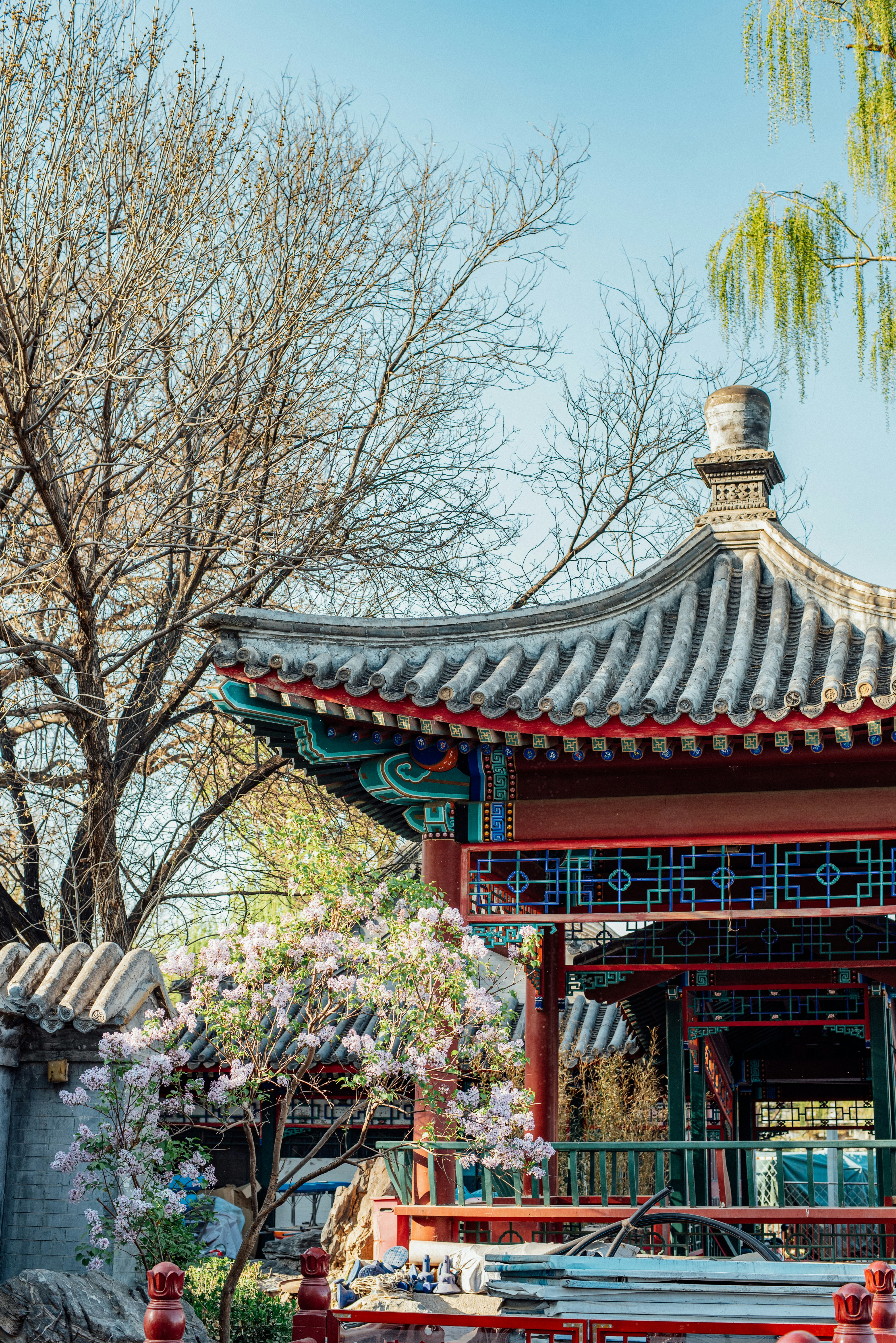 Photo by tommaomaoer