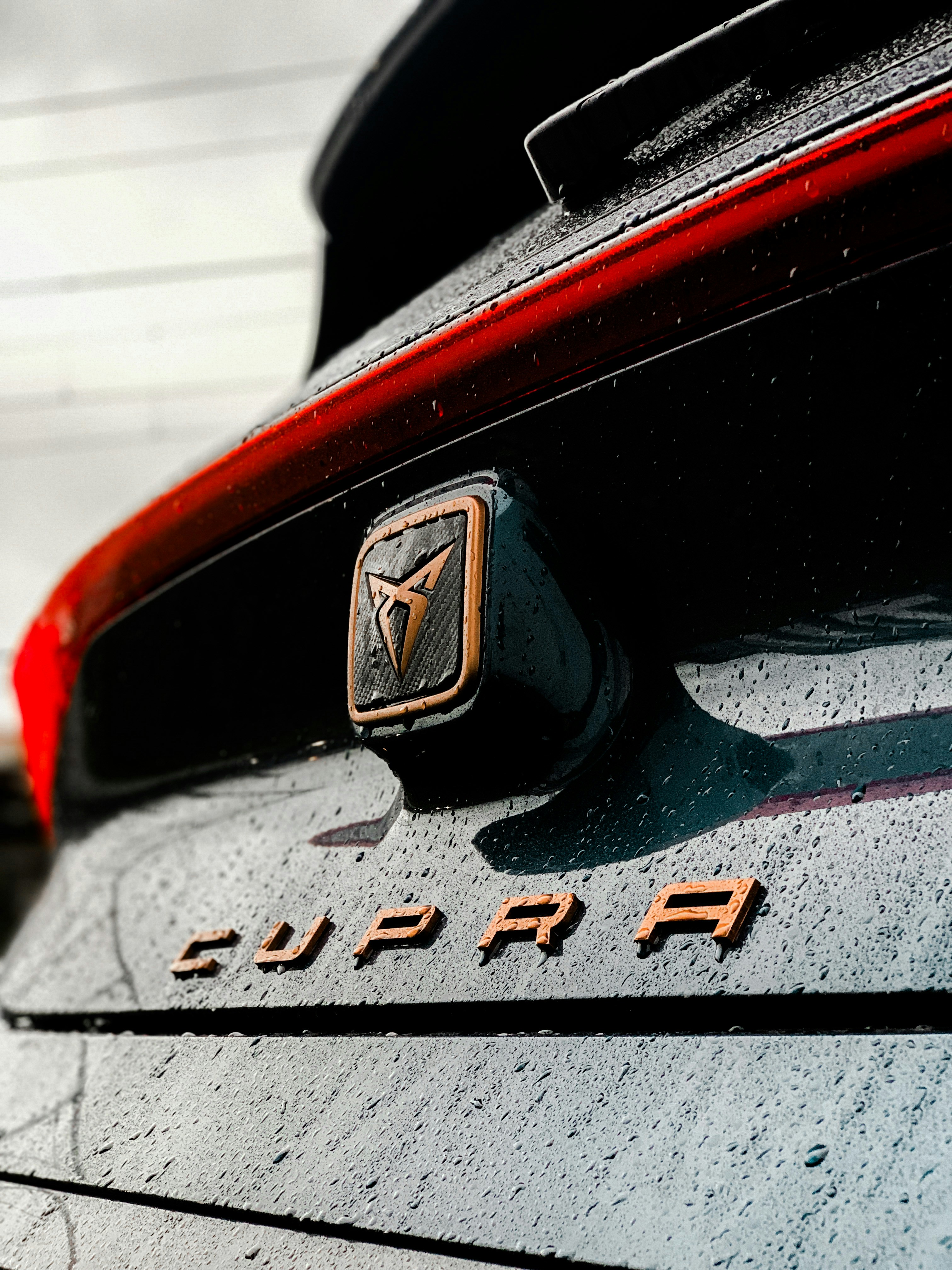 Rainy Cupra Born