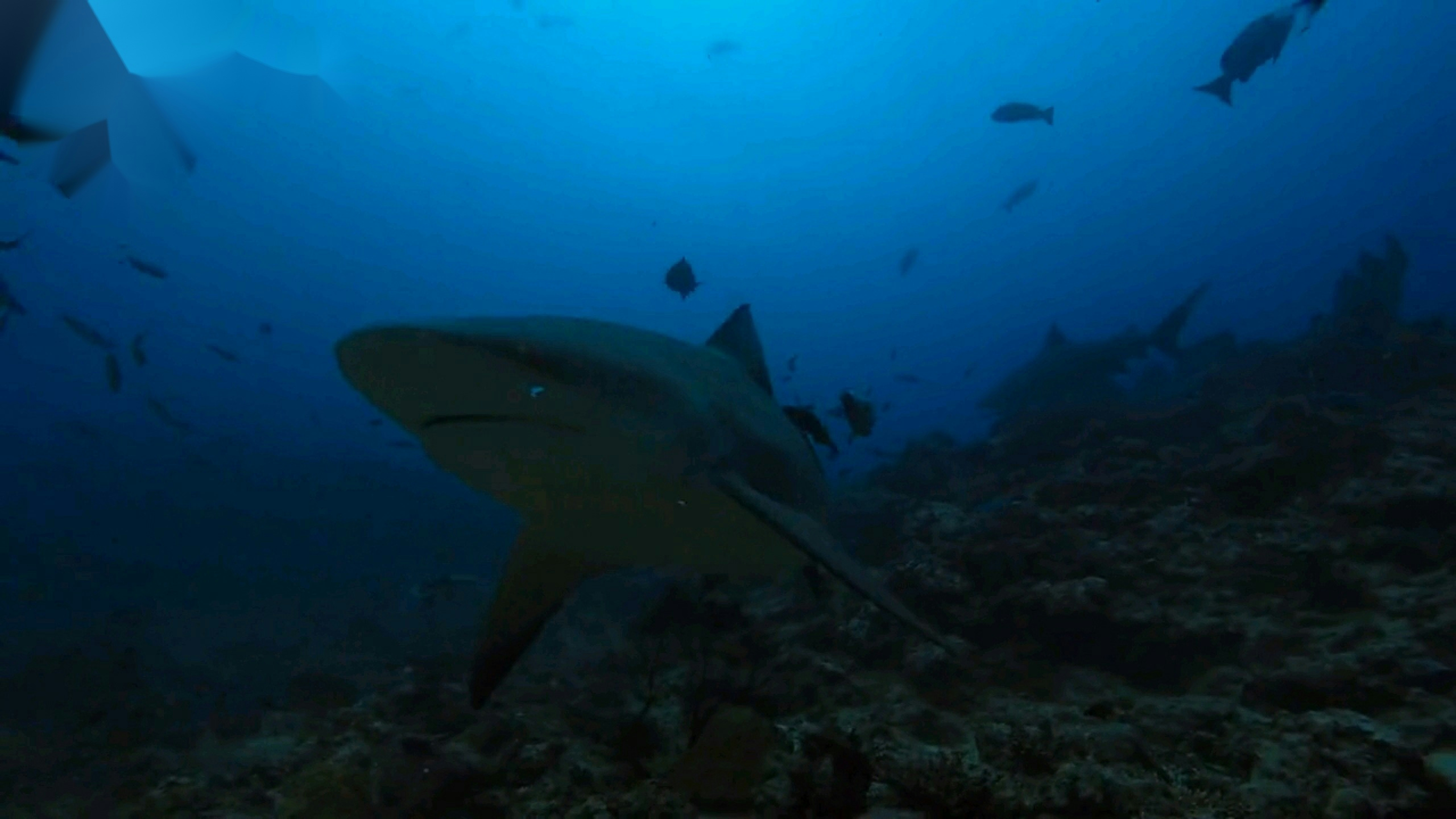 The Systematic Approach to Concurrent Training That Actually Works