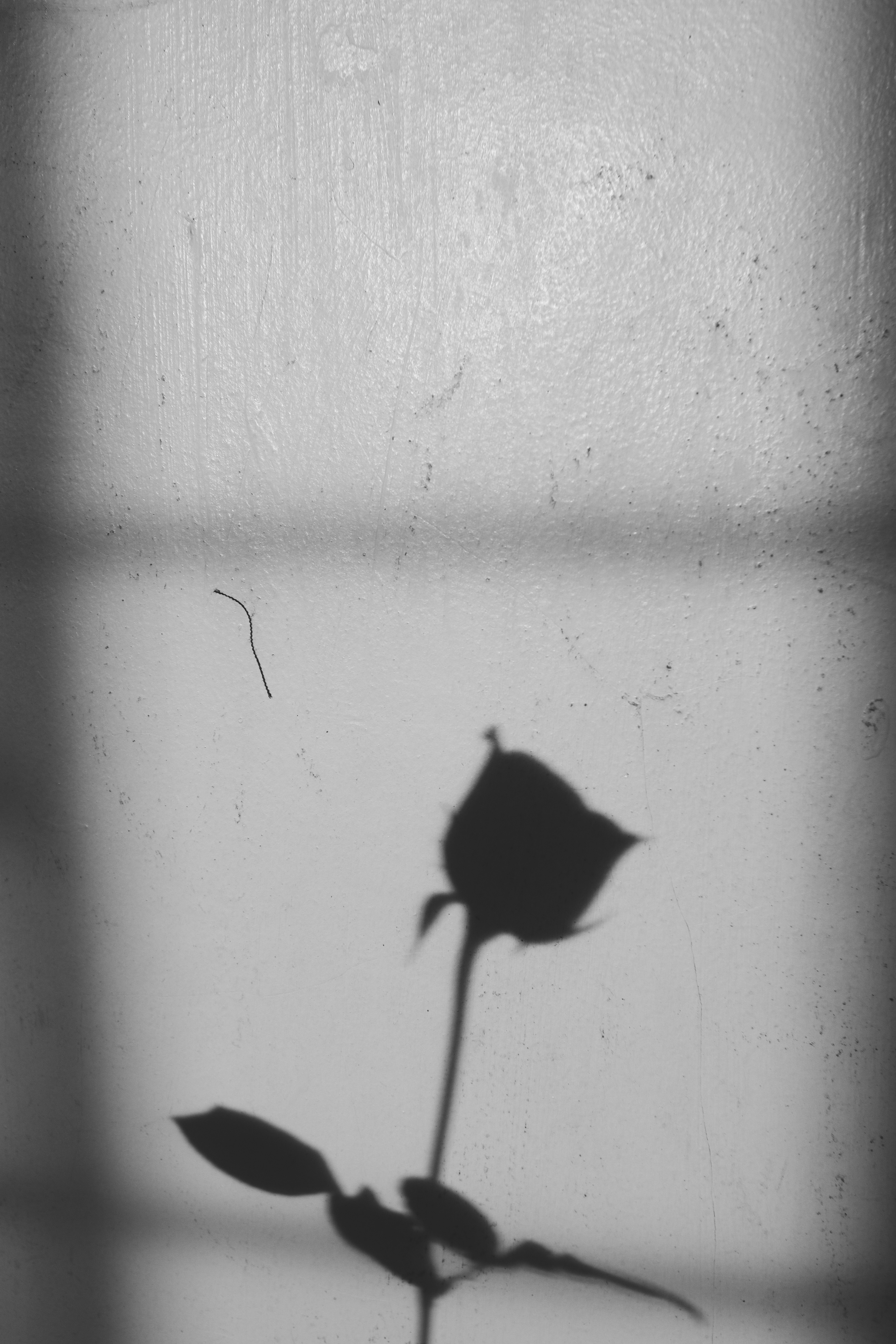 Photo by roadahead_2223