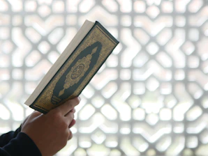 a person holding a book in their hands