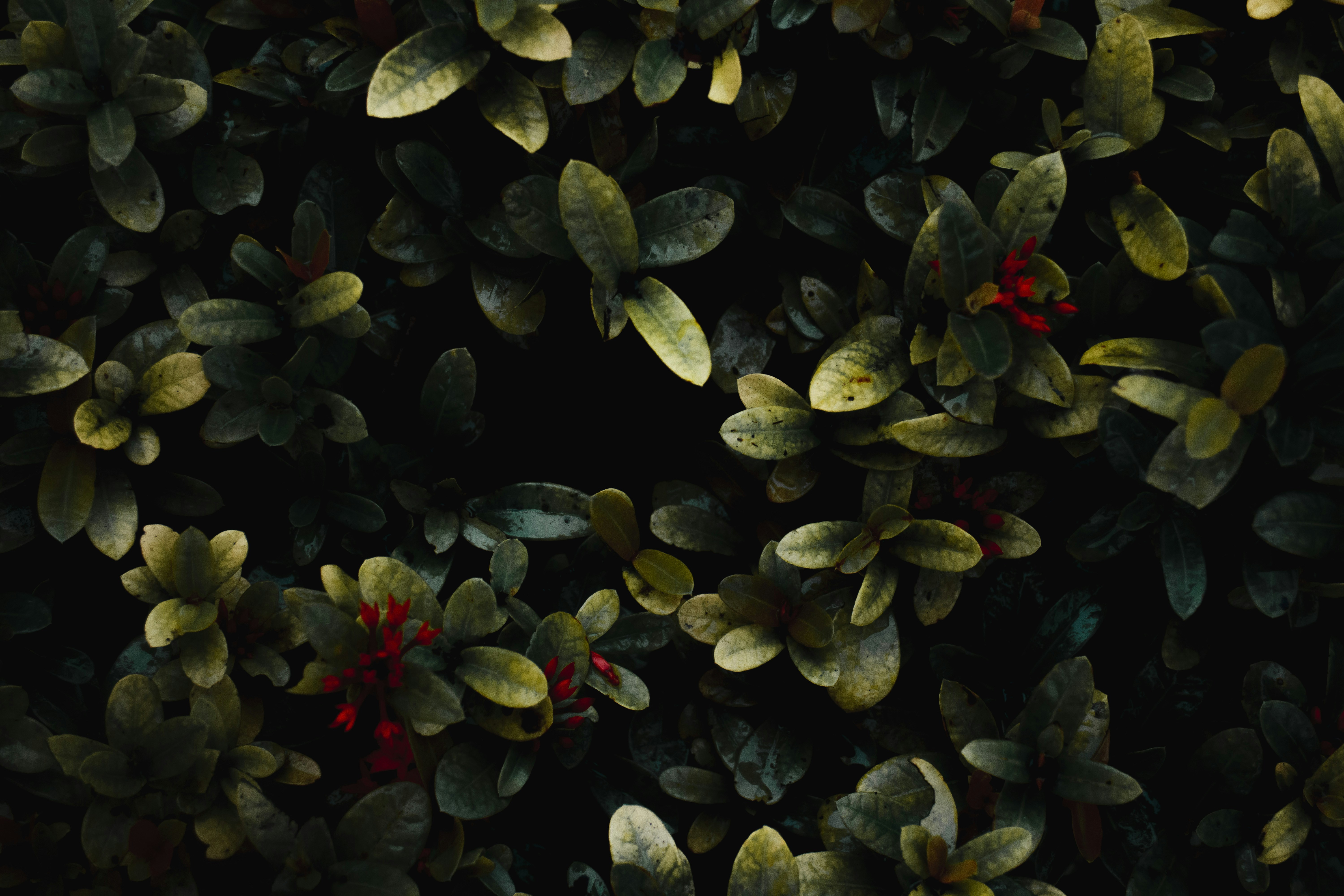 Photo by roadahead_2223