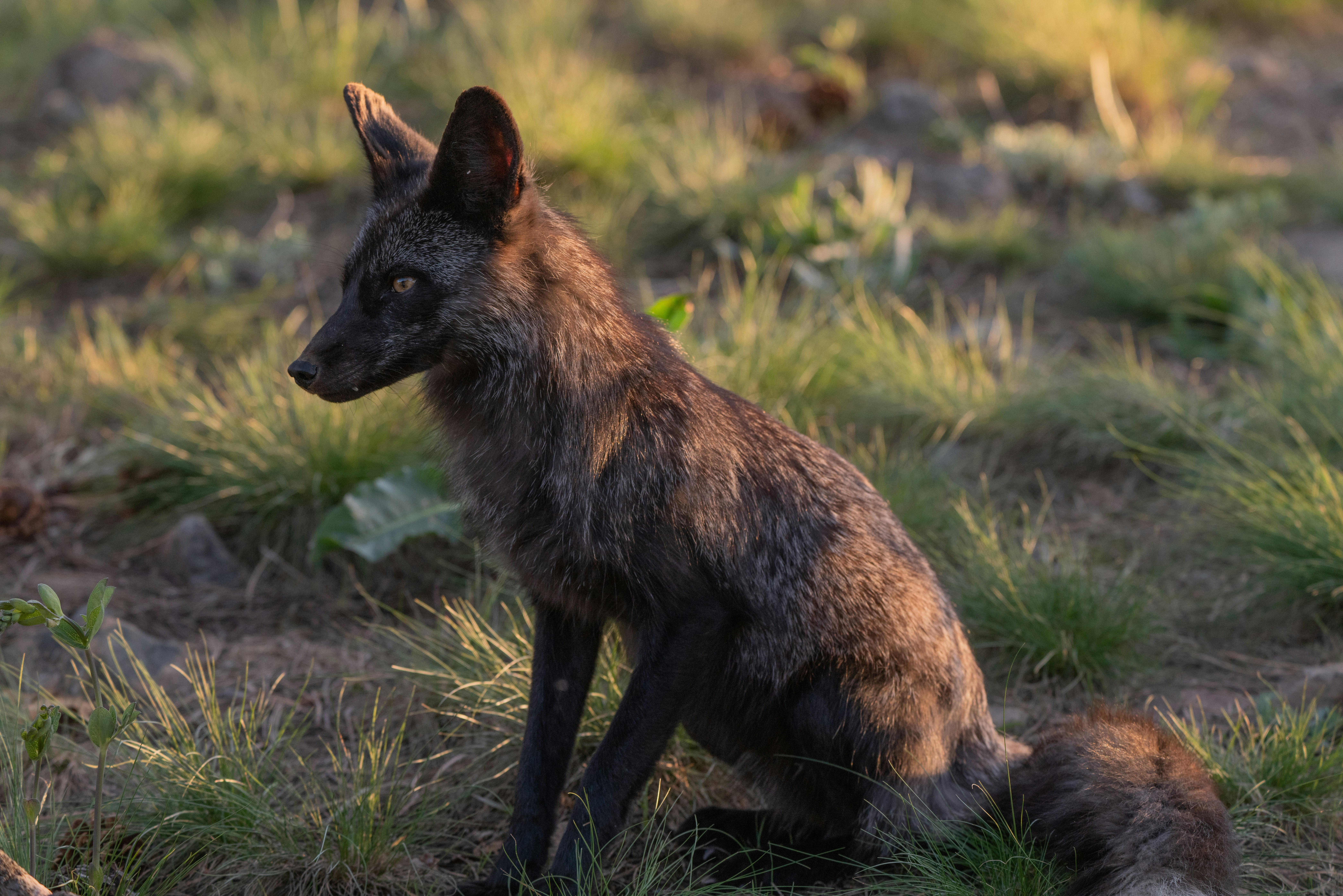 Photo by huntermastersmusic