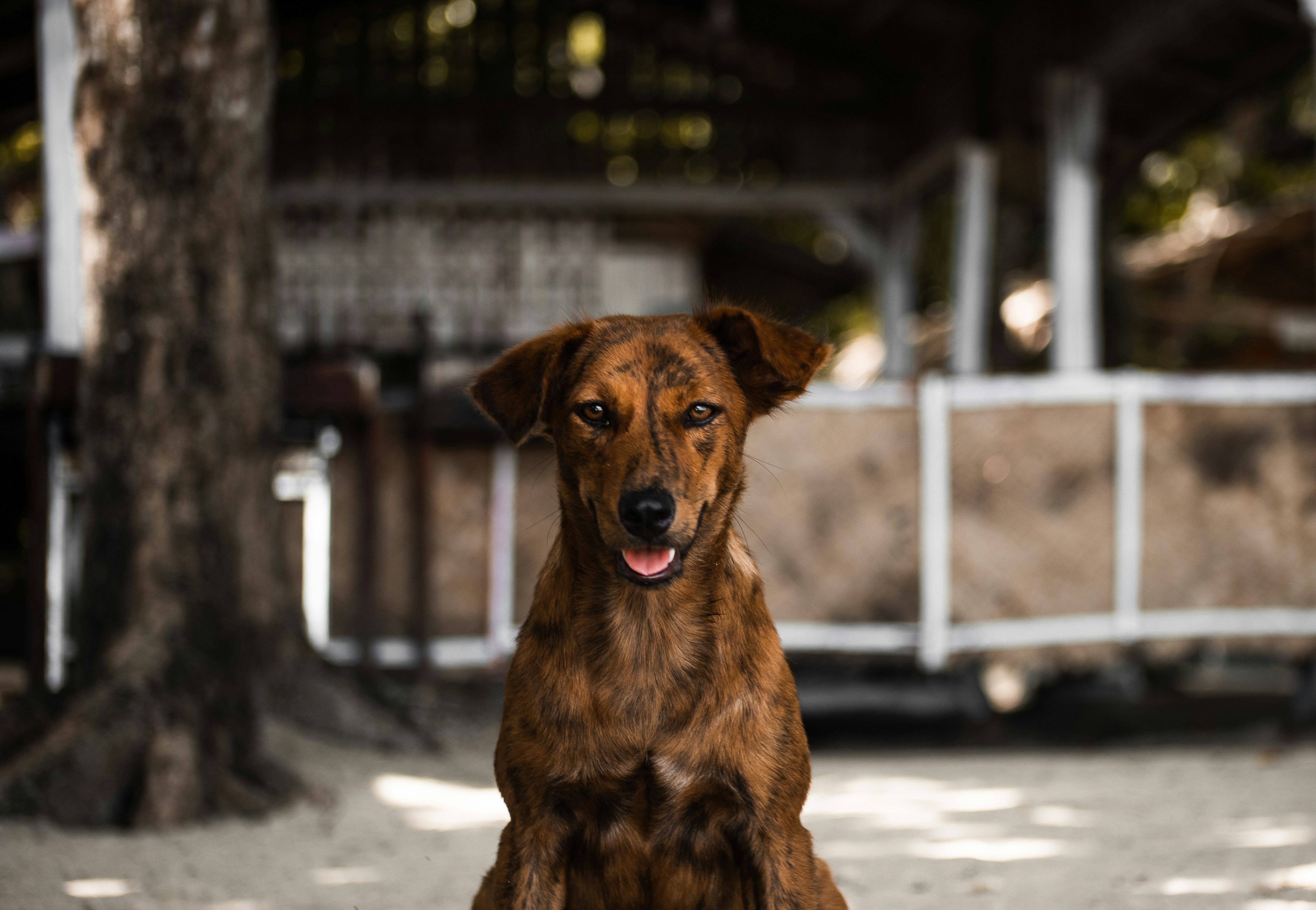 Photo by roadahead_2223