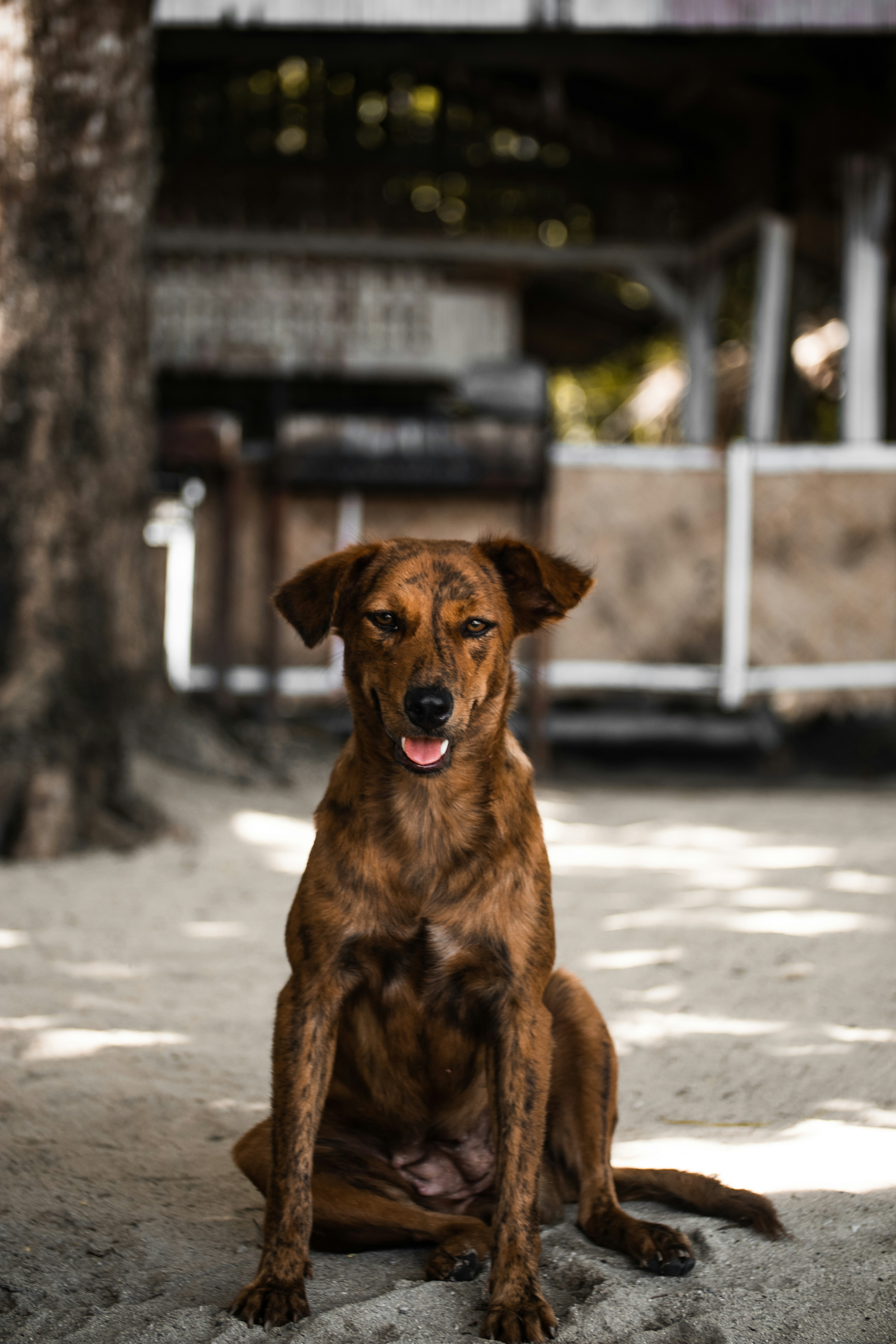 Photo by roadahead_2223