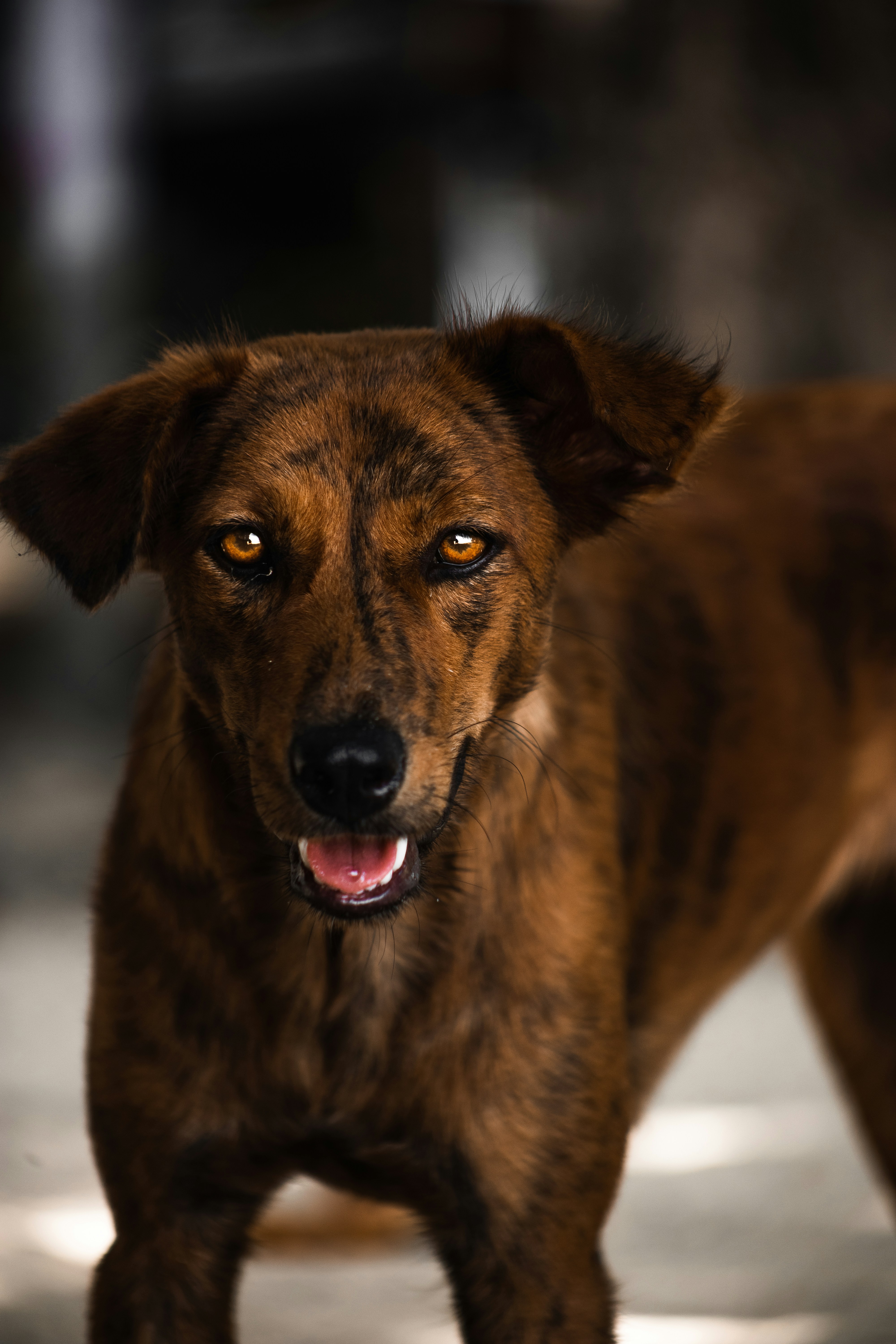 Photo by roadahead_2223