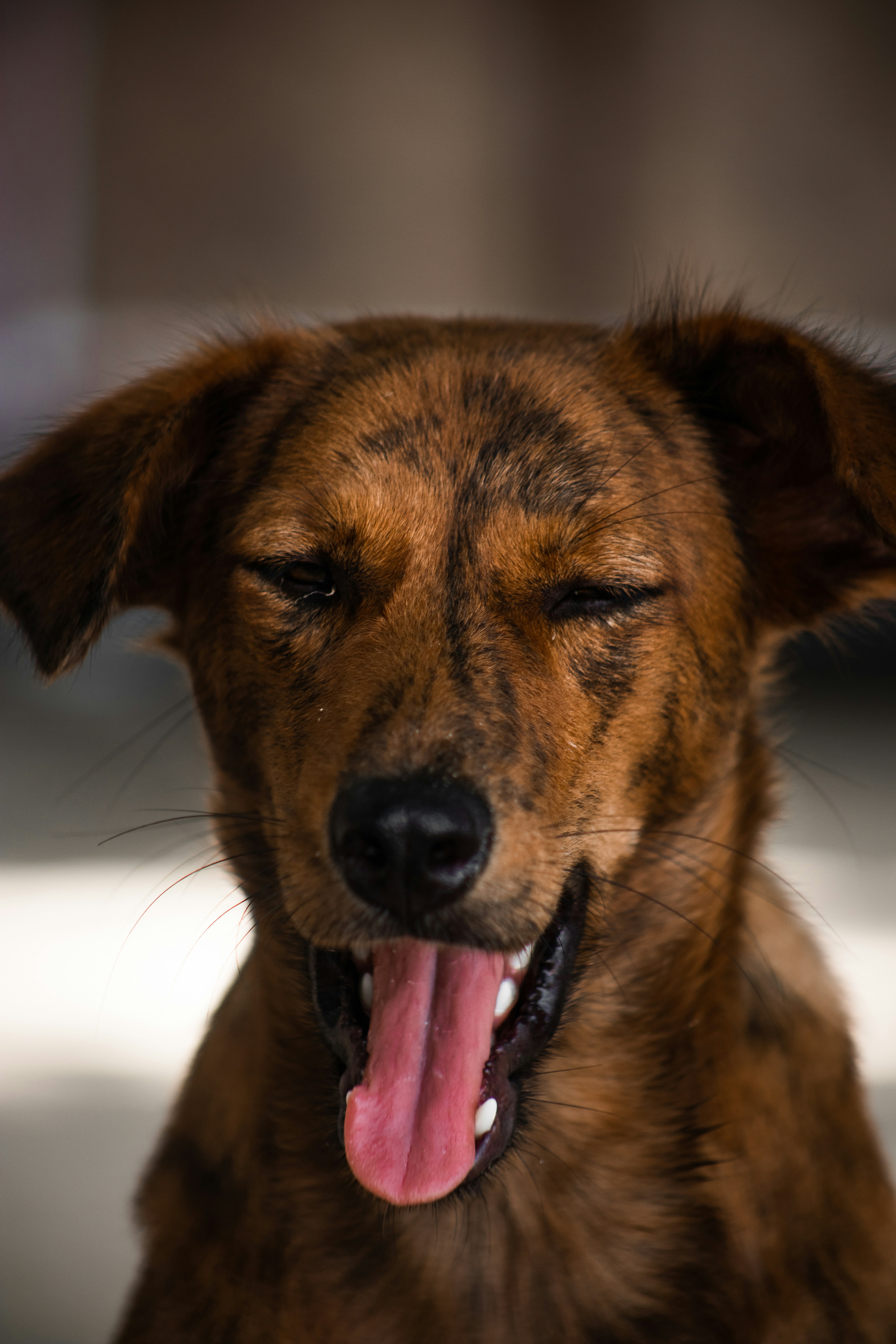 Photo by roadahead_2223