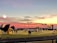 A sports field with a football game unfolding under a vibrant sunset sky, featuring a large inflatable mascot and a scoreboard displaying the score. Players and coaches are visible on the green field, surrounded by a track and some flags waving in the breeze.