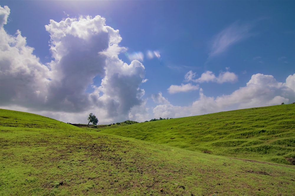 a grassy field with a lone tree in the distance