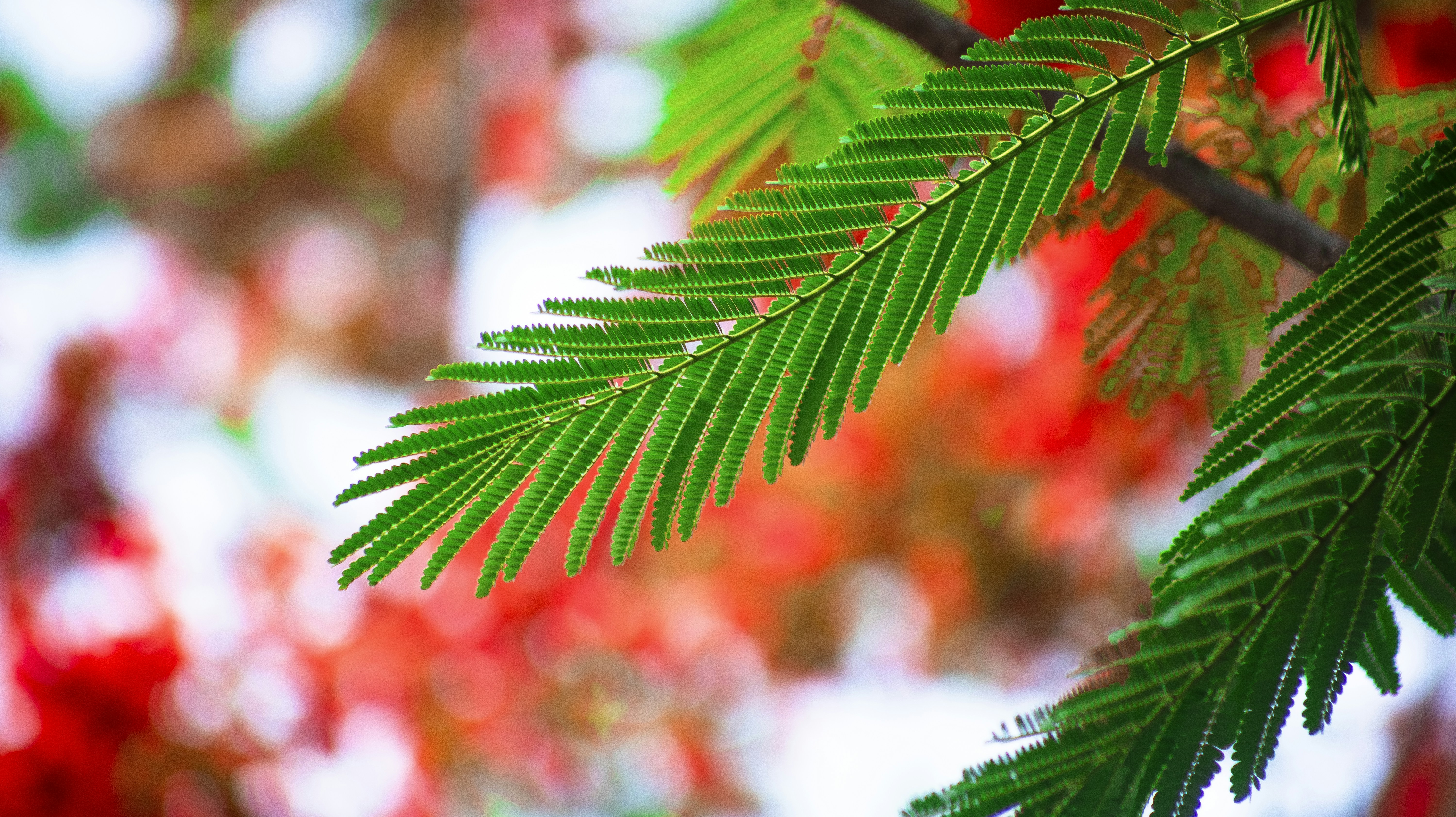 Photo by roadahead_2223