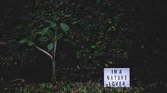 A small tree with broad leaves stands against a thick, leafy green background. In front of the tree is a lightbox with the words 'I'M A NATURE LOVER' displayed prominently.