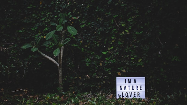 A small tree with broad leaves stands against a thick, leafy green background. In front of the tree is a lightbox with the words 'I'M A NATURE LOVER' displayed prominently.