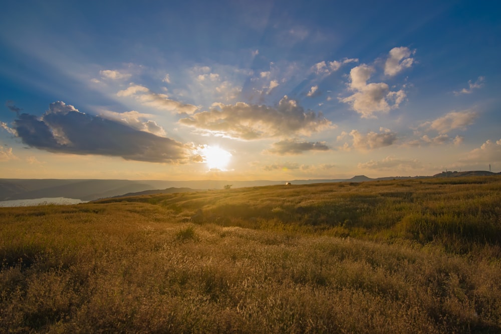 the sun is setting over a grassy field