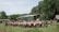 A large group of students in uniform stands in a circular formation on a grassy clearing, surrounded by lush greenery and trees. In the background, there are rustic structures, including a thatched hut and a simple building with a corrugated metal roof. A playground swing set is visible on one side.