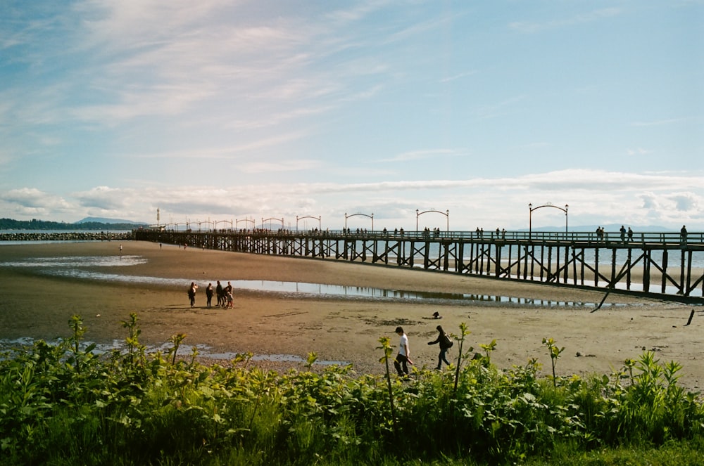 a group of people standing on top of a sandy beach