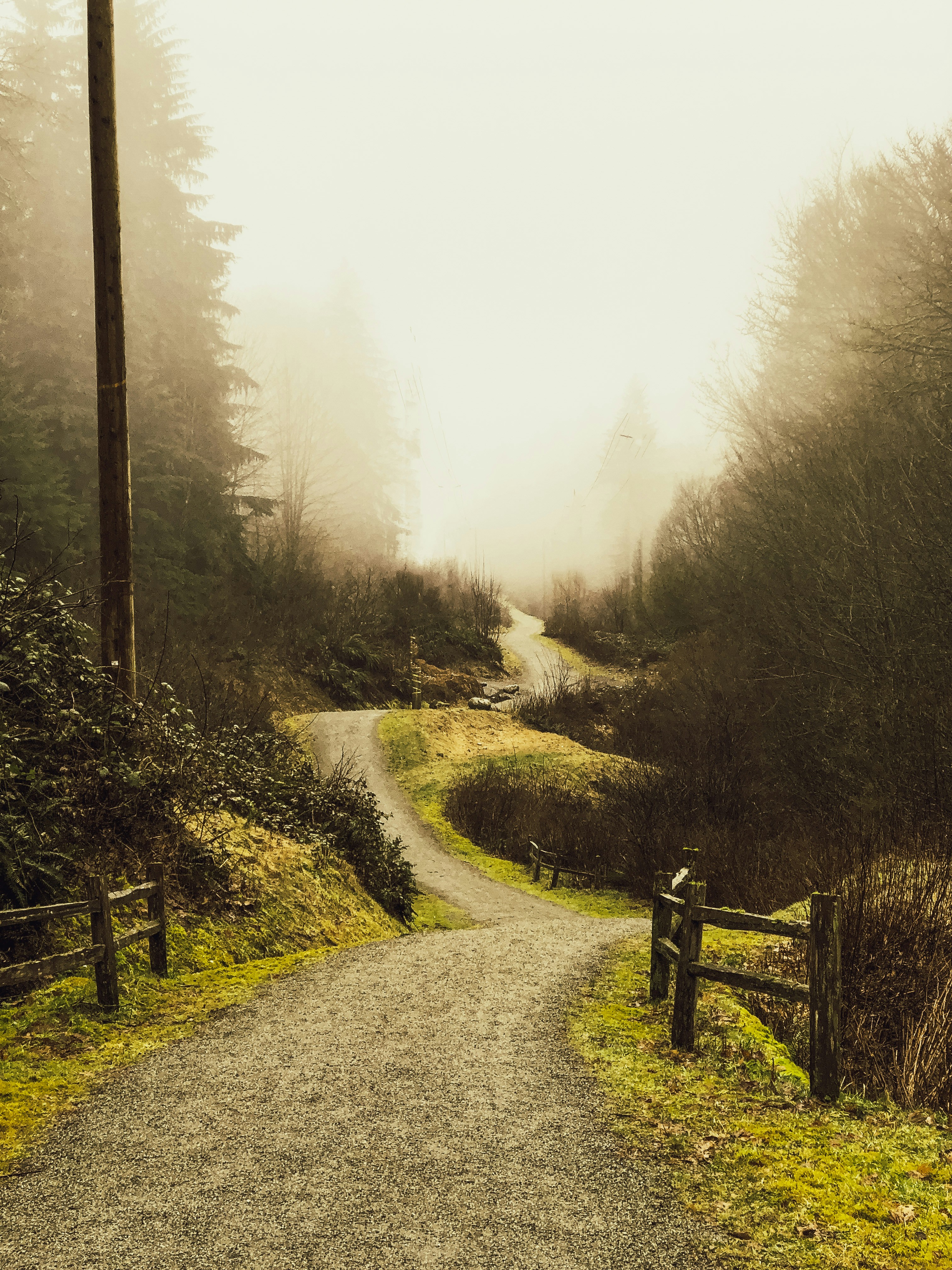 Photo by bethlatorre