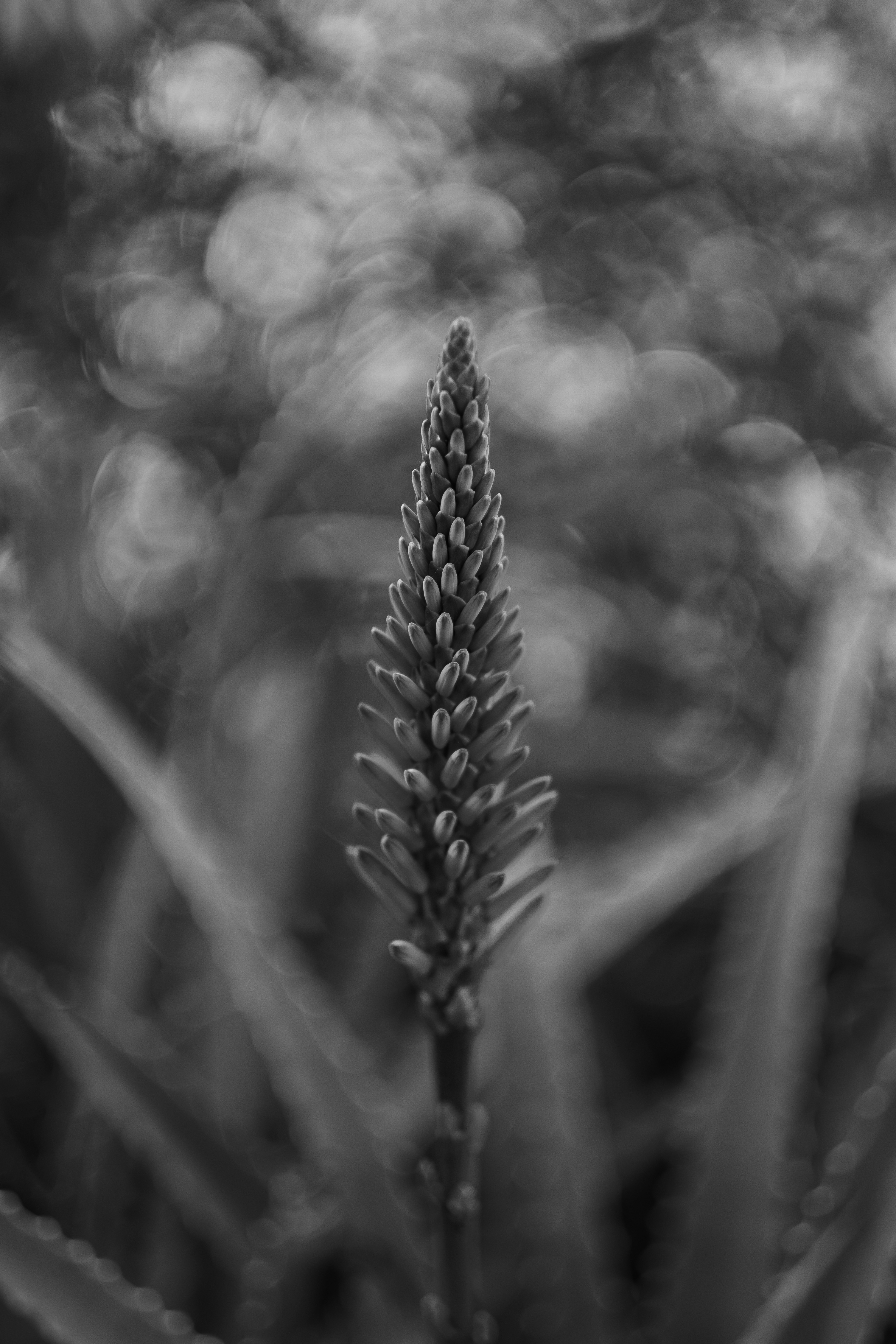 Photo by levimeirclancy