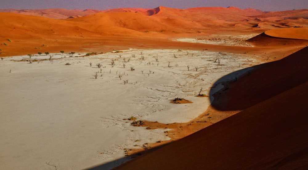 uma paisagem desértica com dunas de areia e árvores esparsas