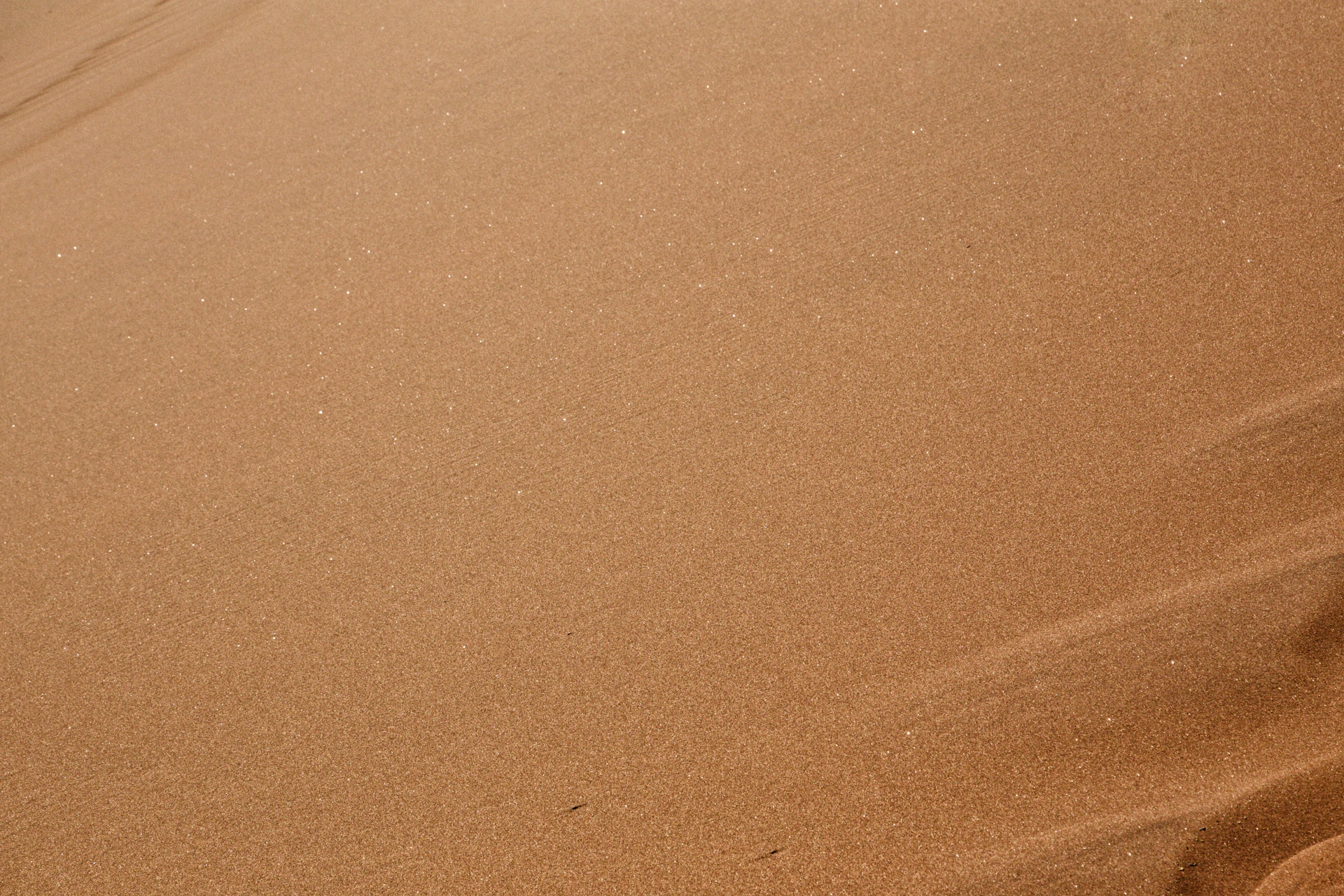 a person walking across a sandy beach next to a wave