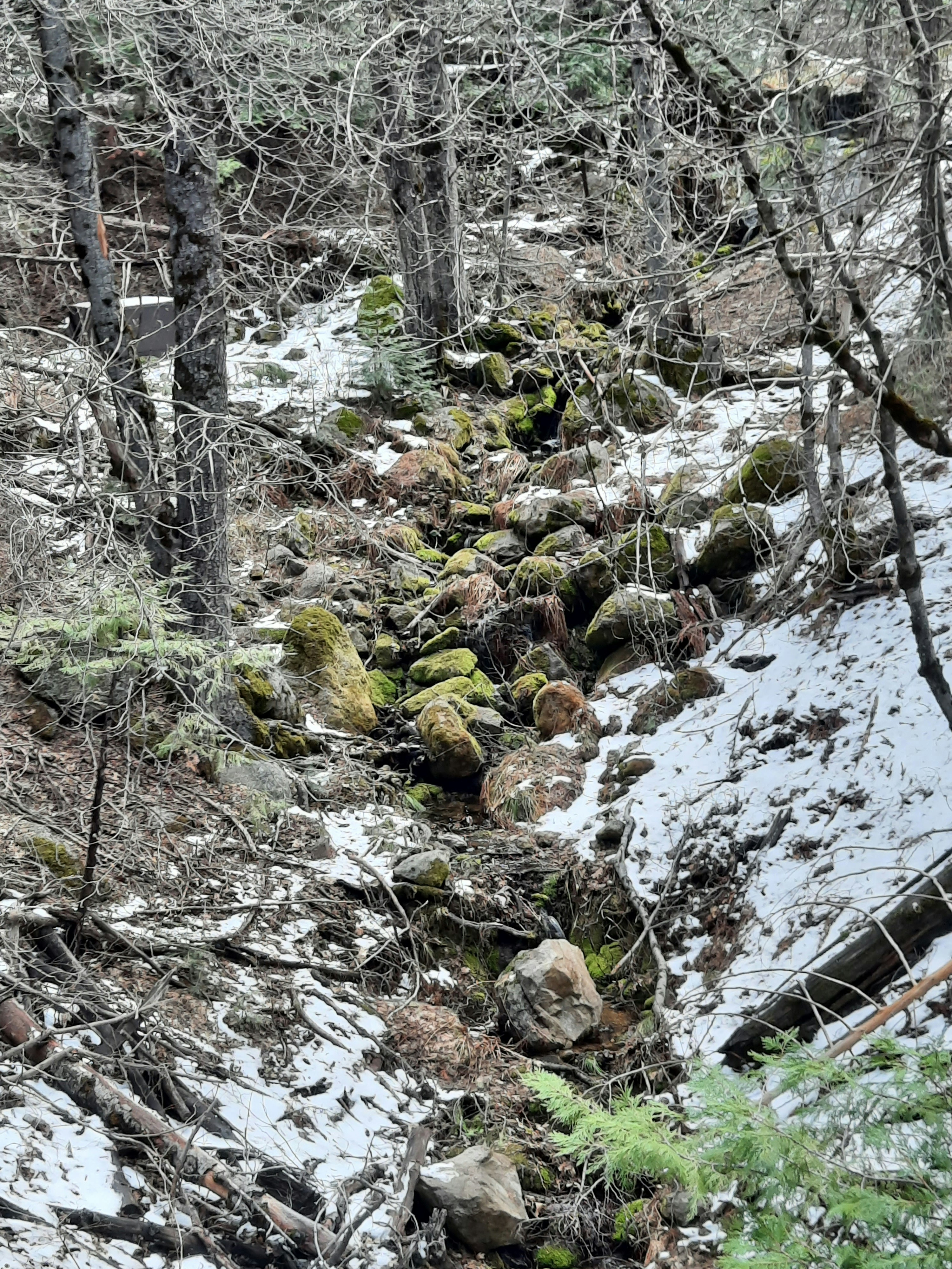 Photo by happy_duckling