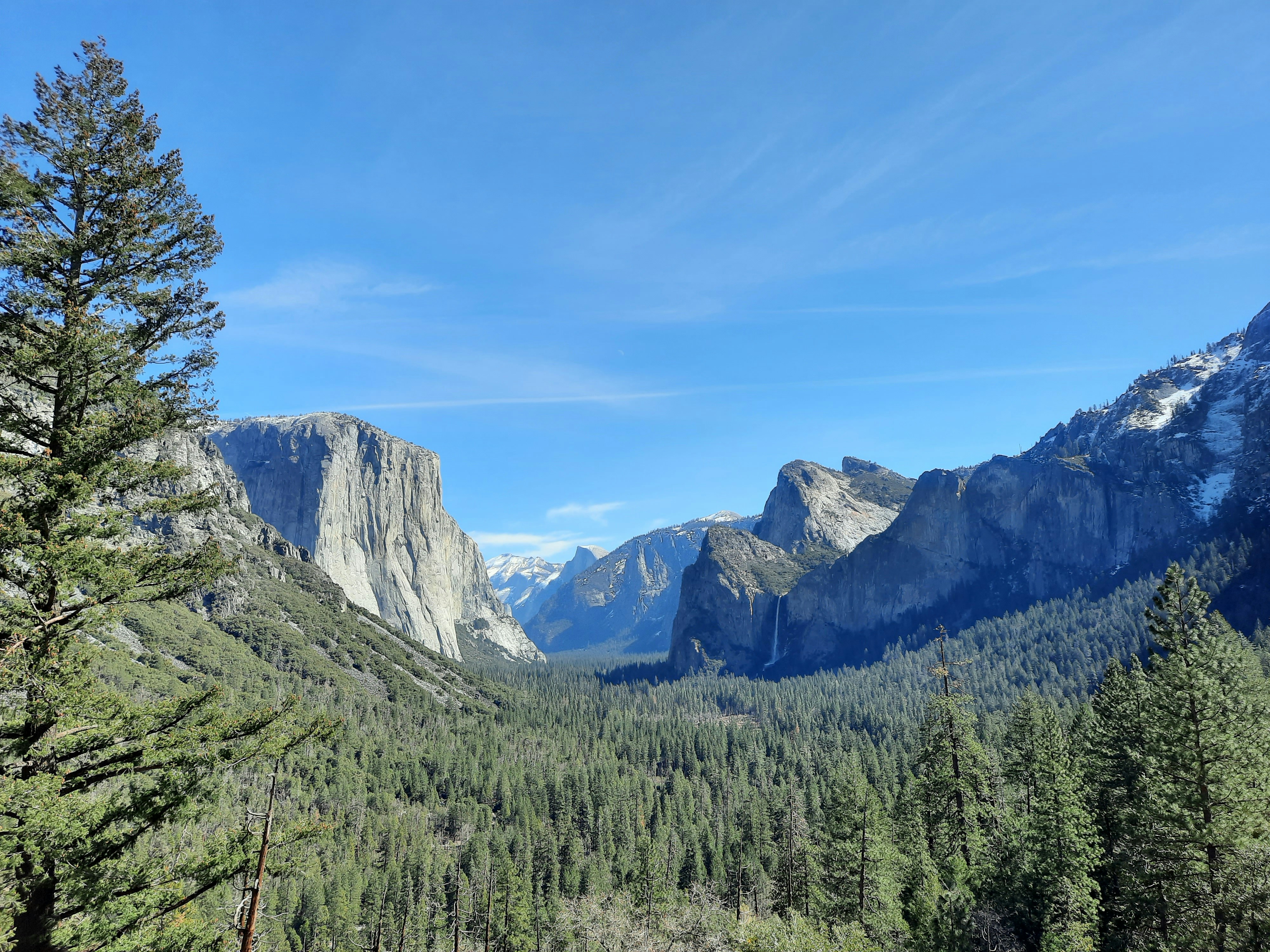 Photo by happy_duckling