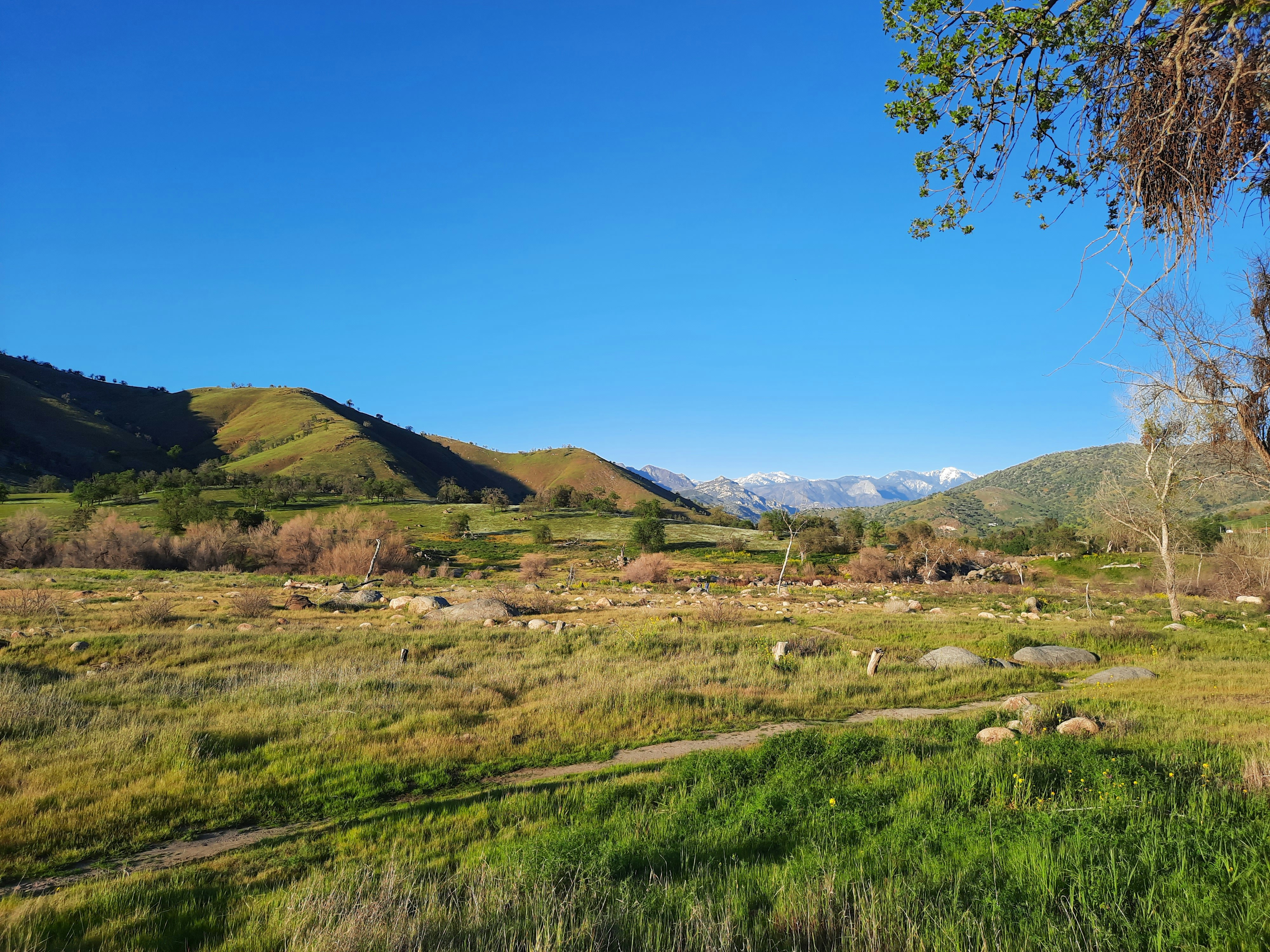 Photo by happy_duckling