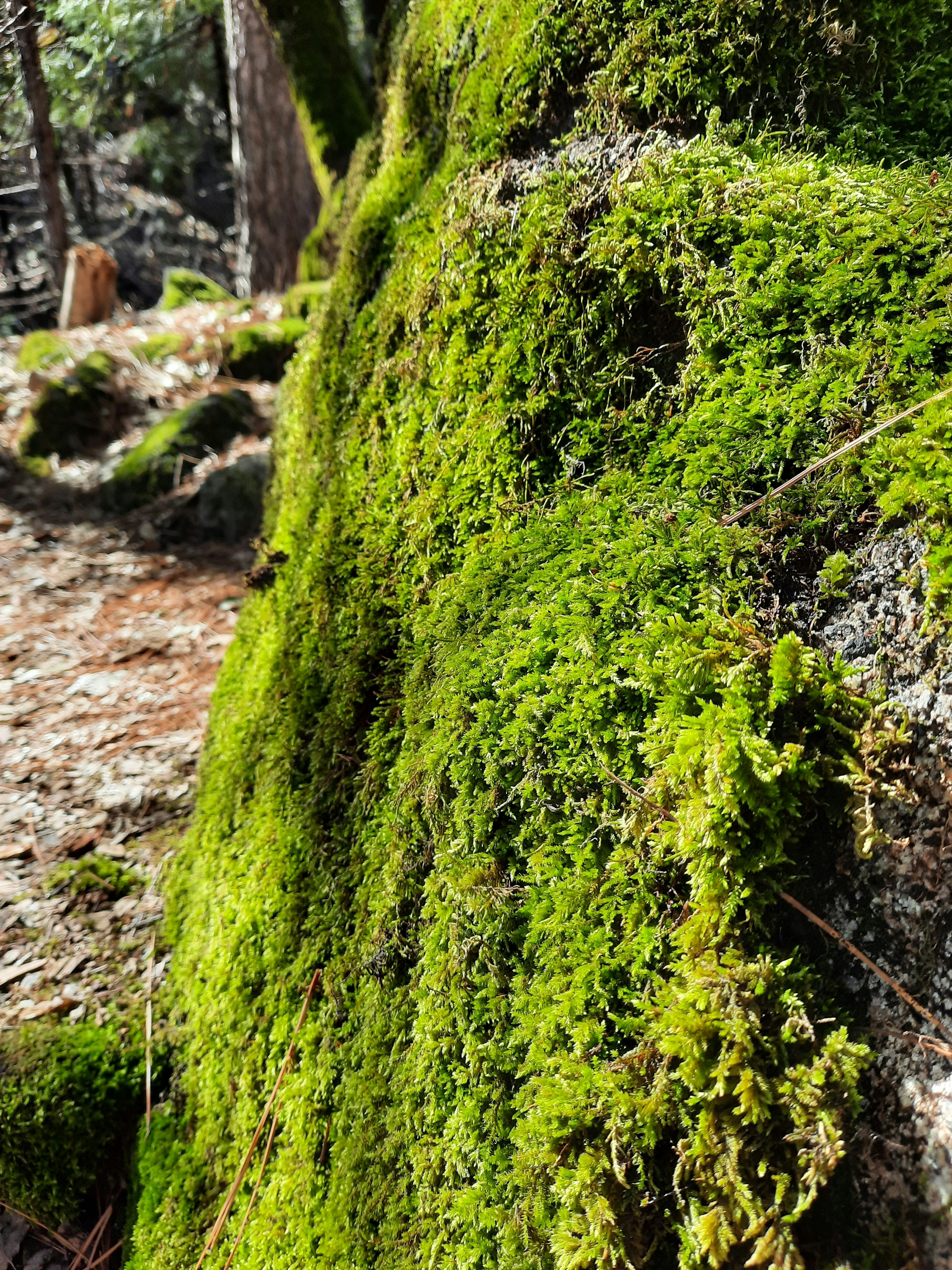 Photo by happy_duckling