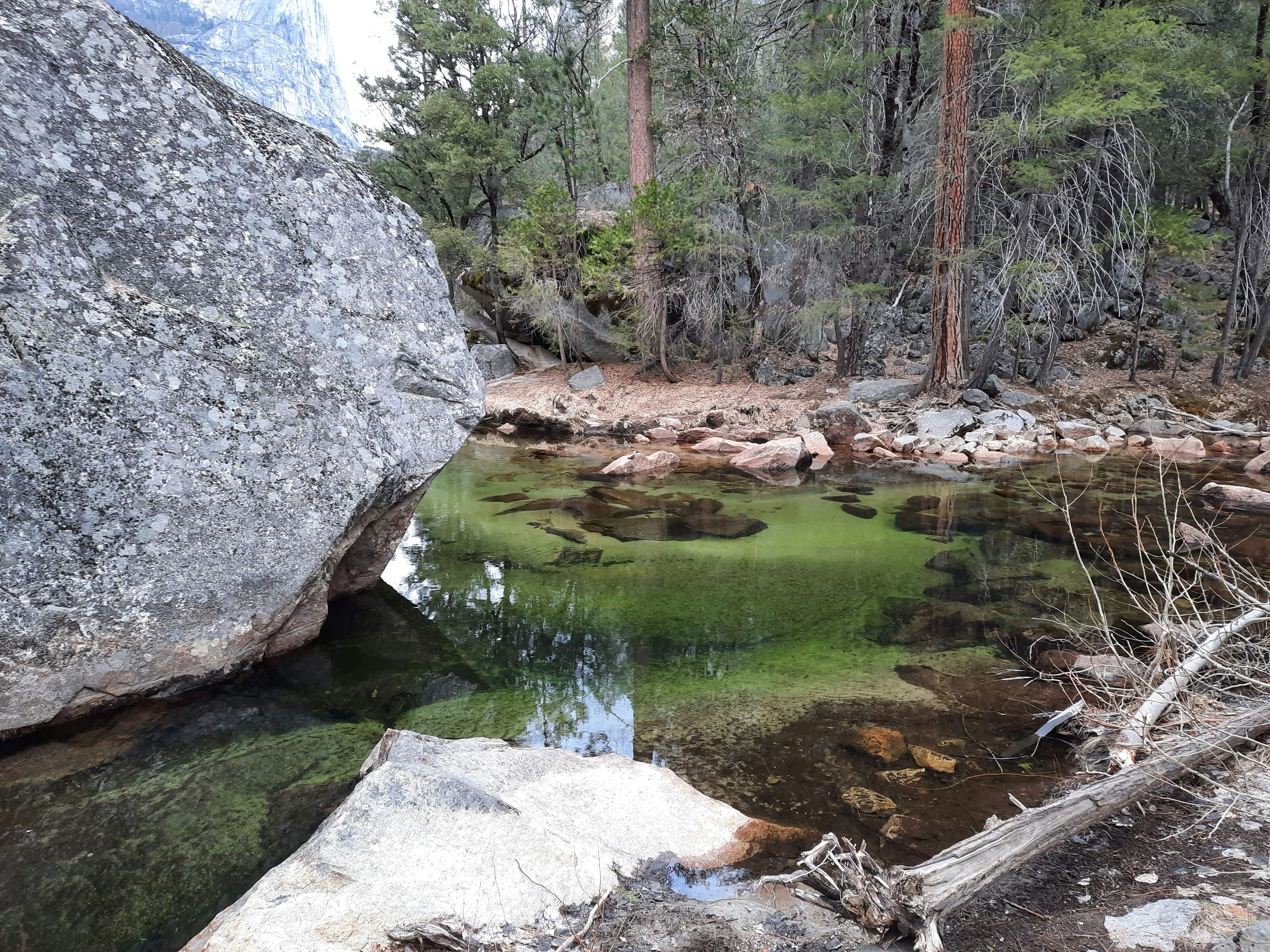 Photo by happy_duckling