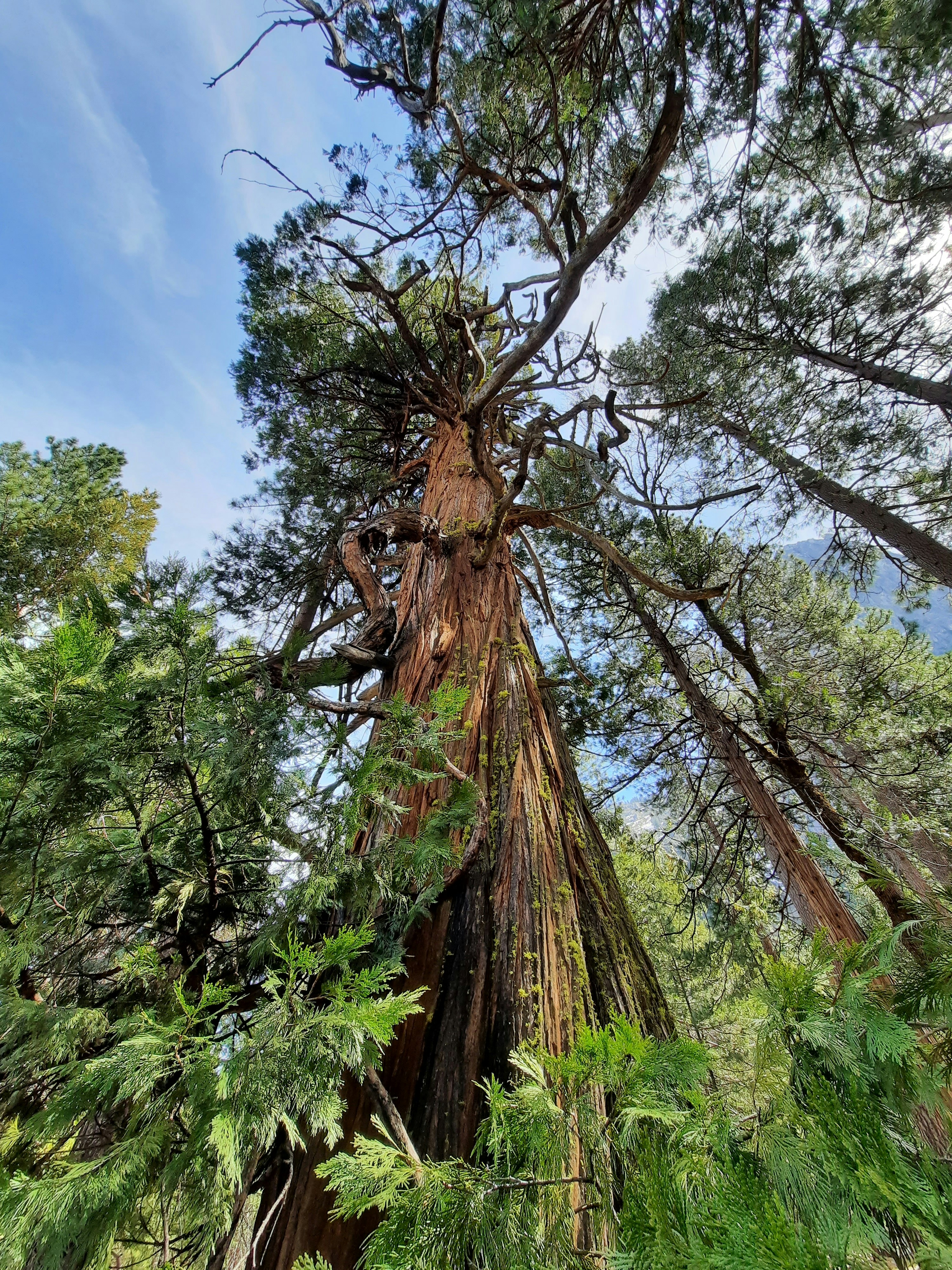 Photo by happy_duckling