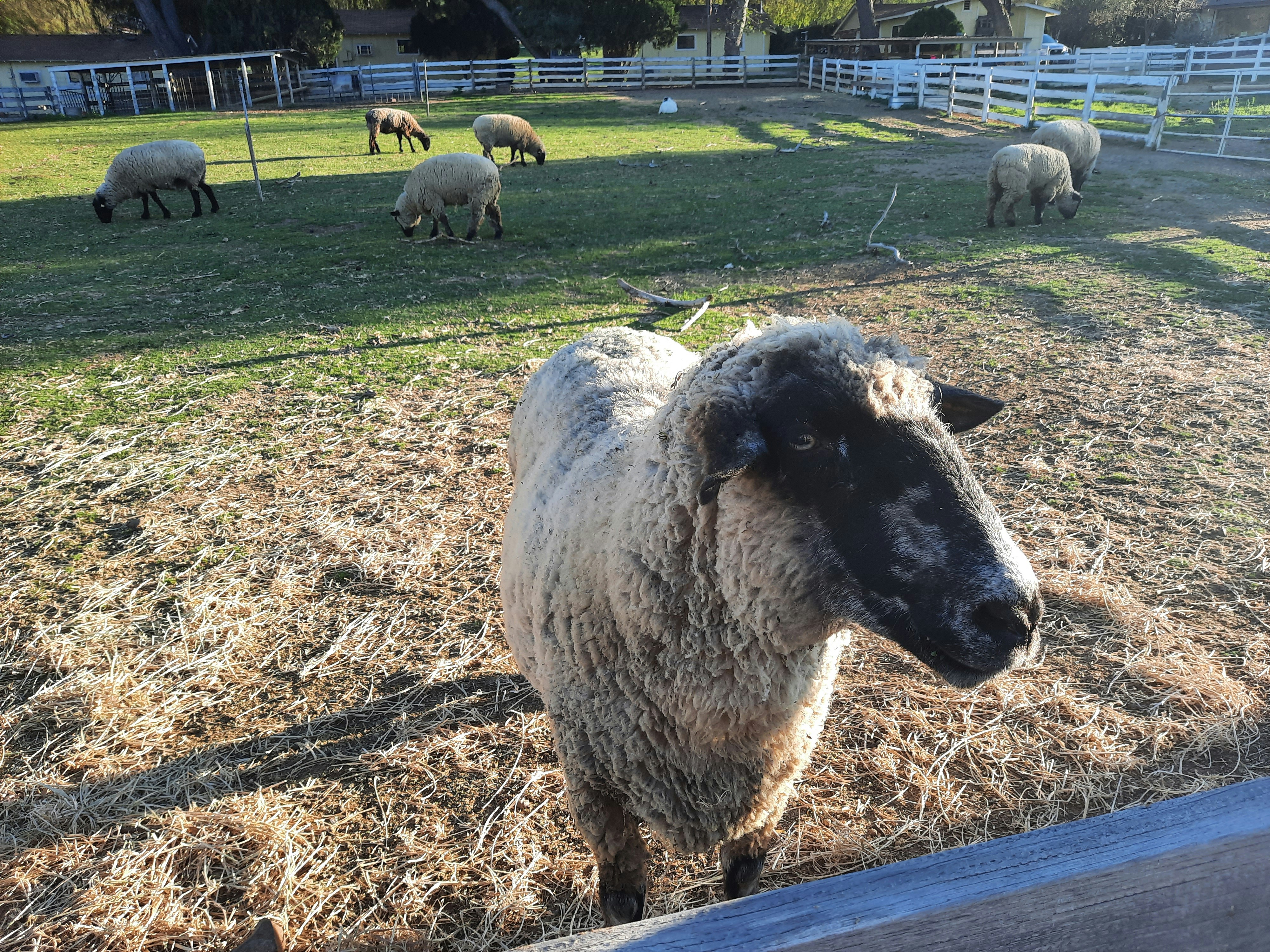 Photo by happy_duckling