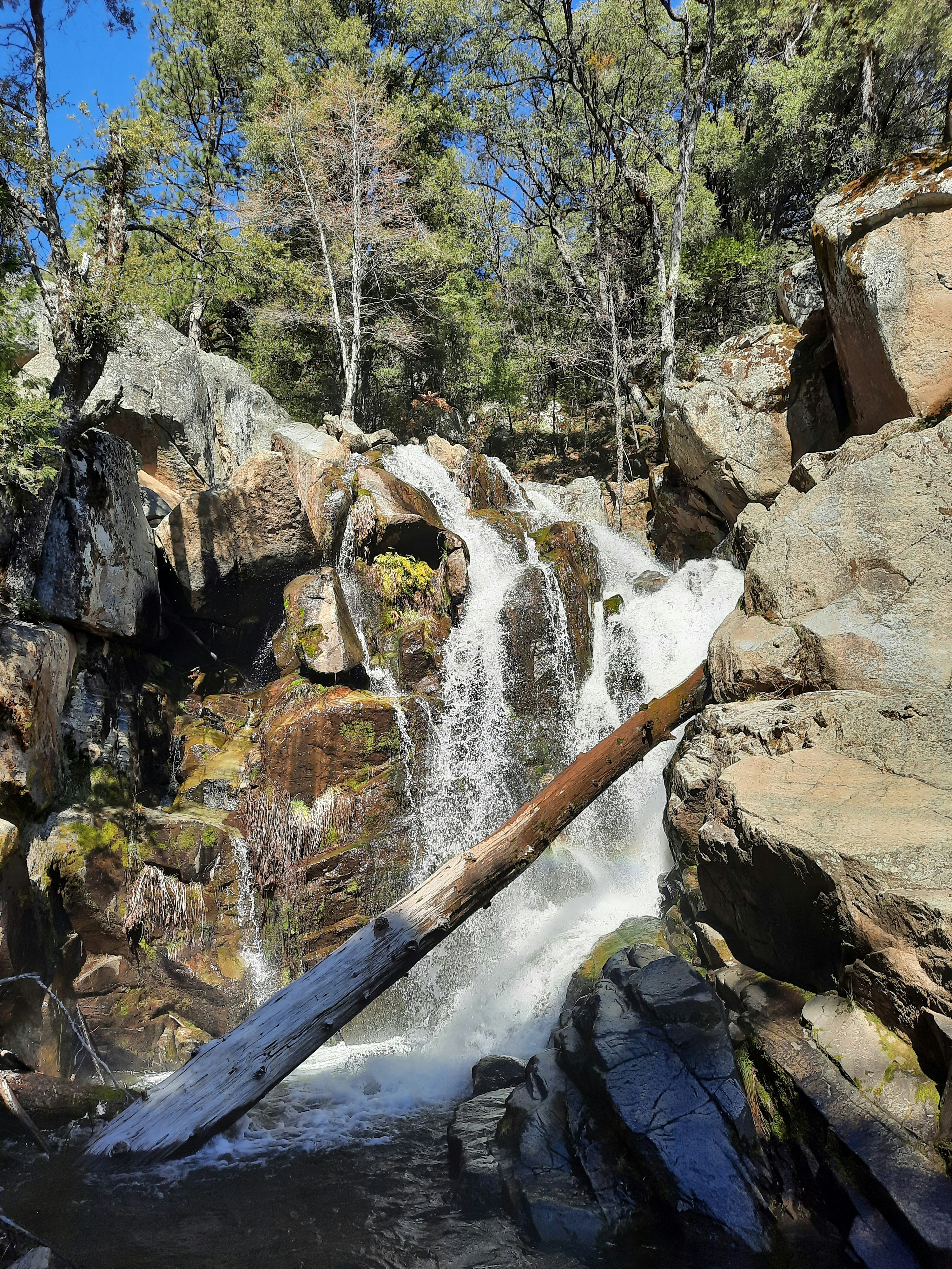 Photo by happy_duckling