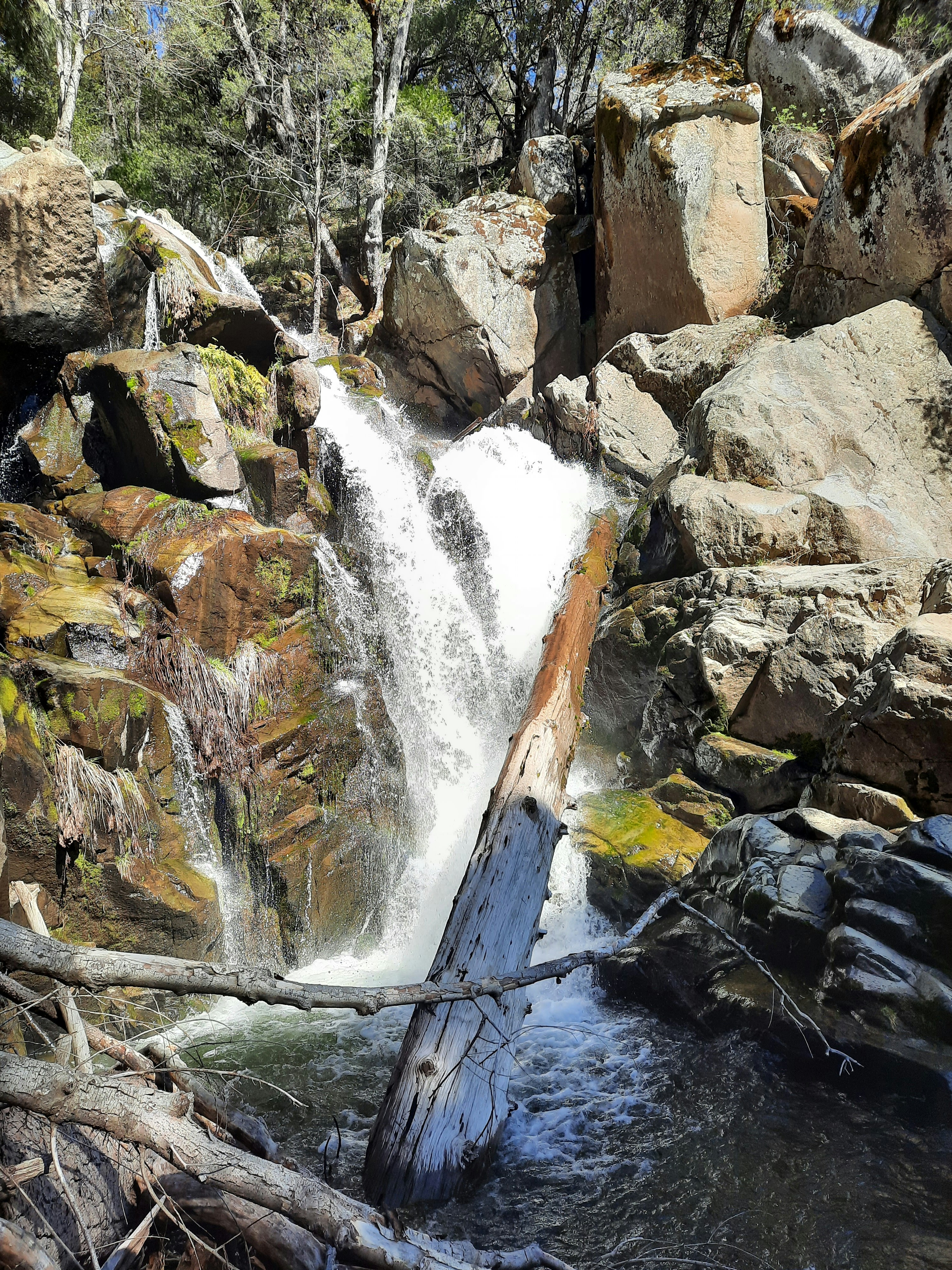 Photo by happy_duckling