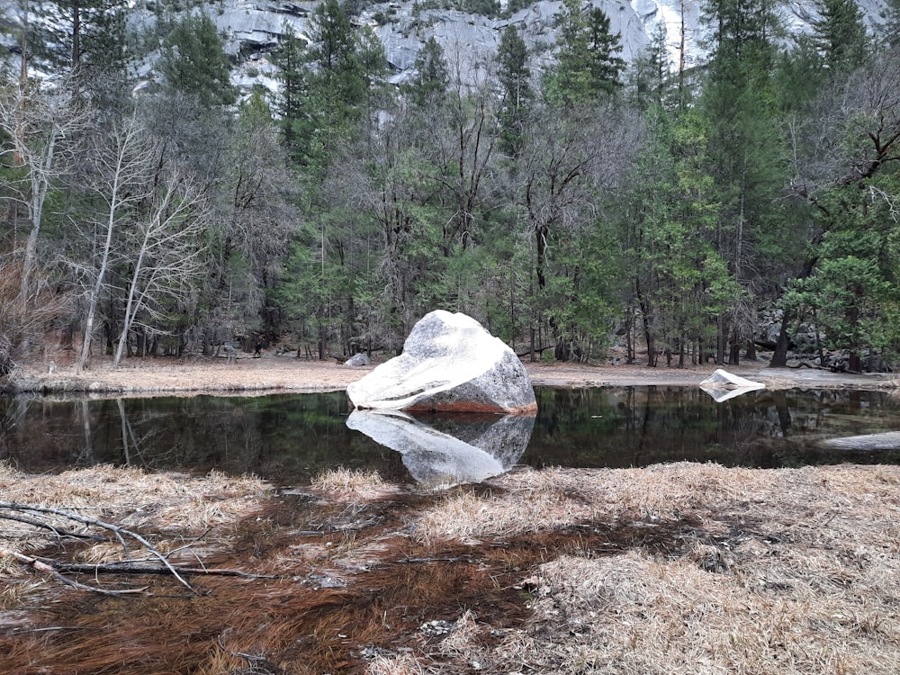 a large rock sitting in the middle of a forest