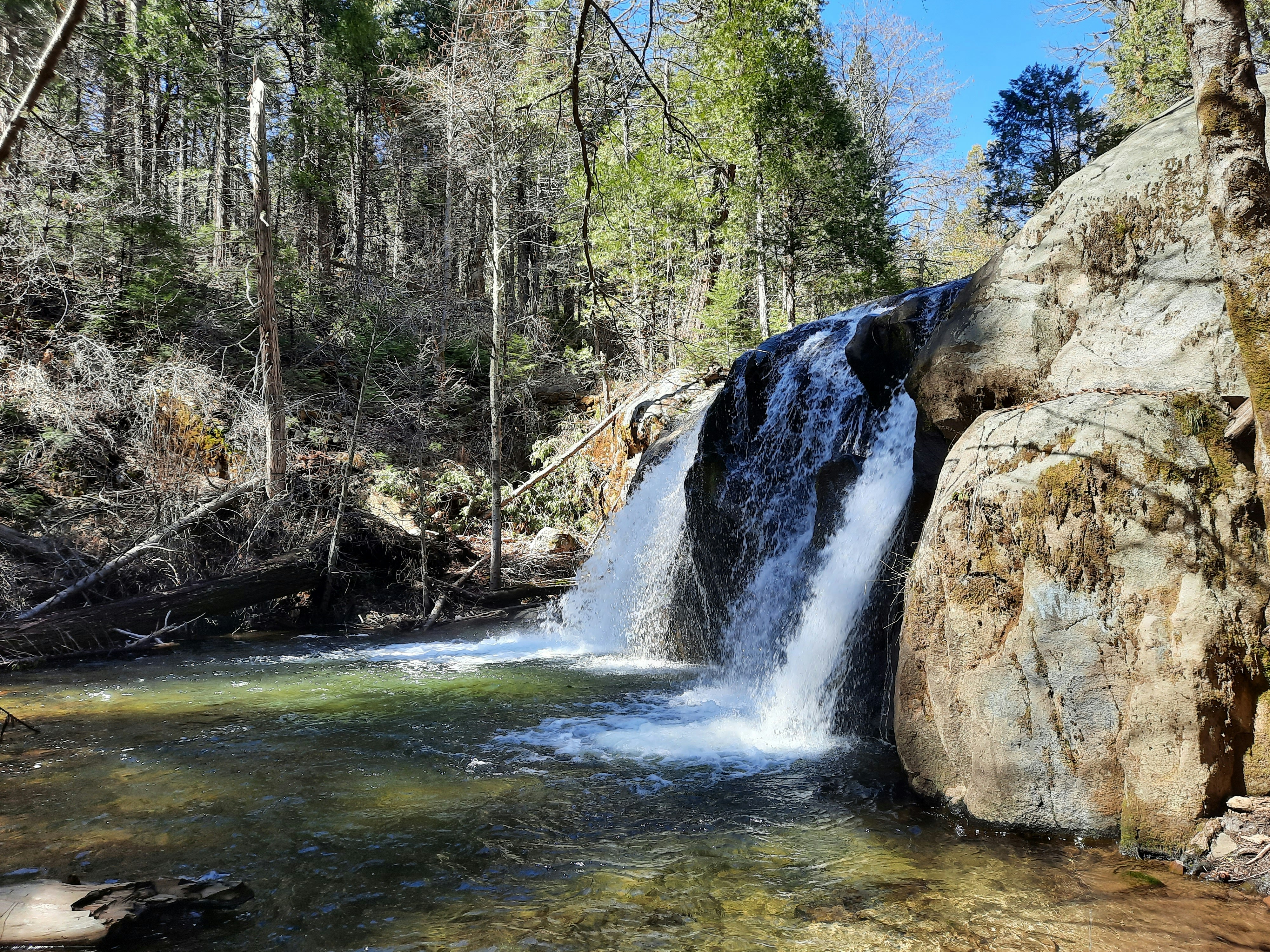 Photo by happy_duckling