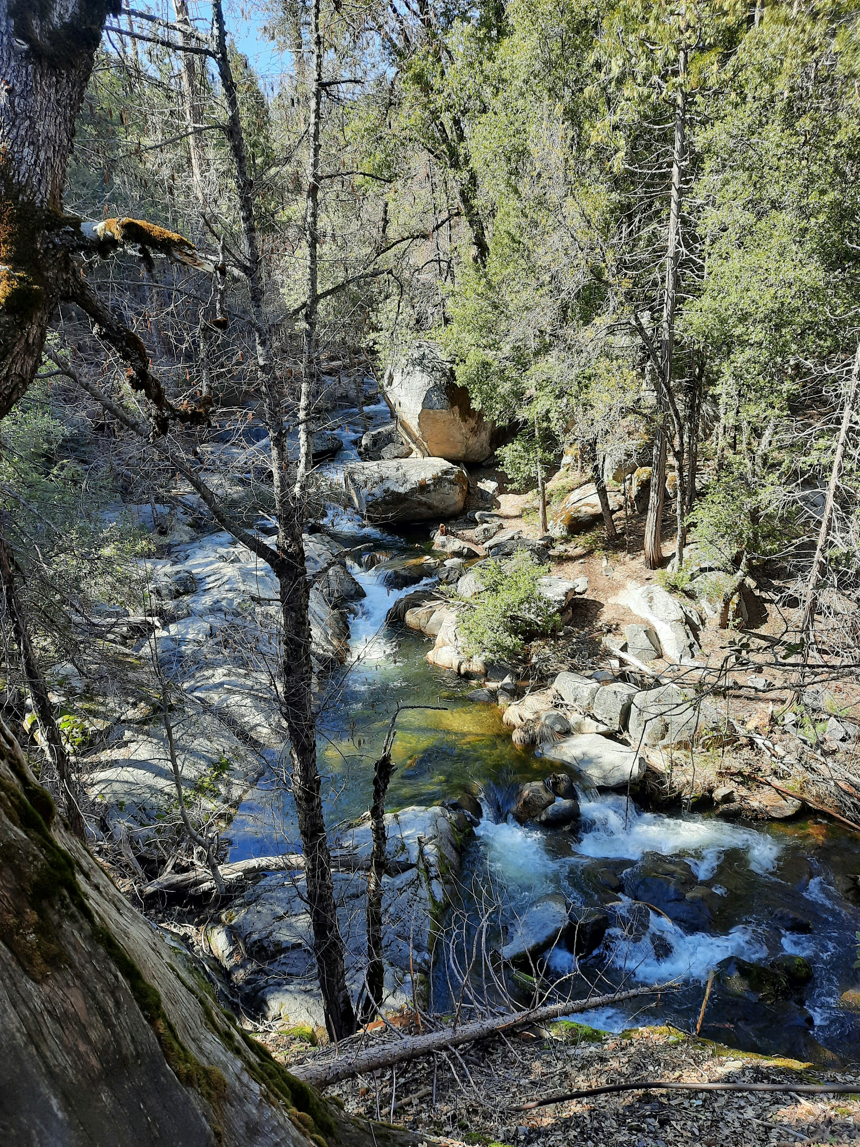 Photo by happy_duckling