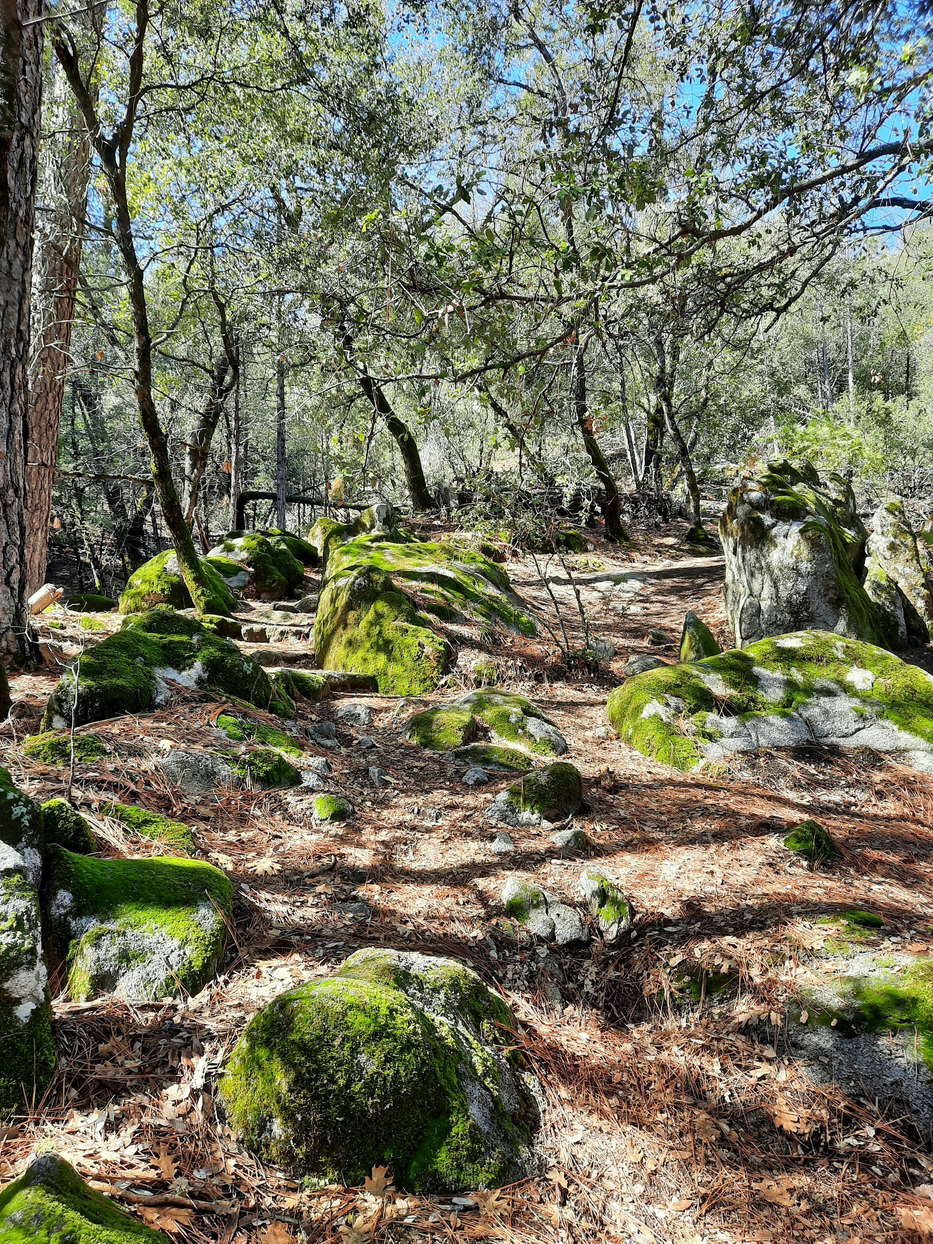 Photo by happy_duckling