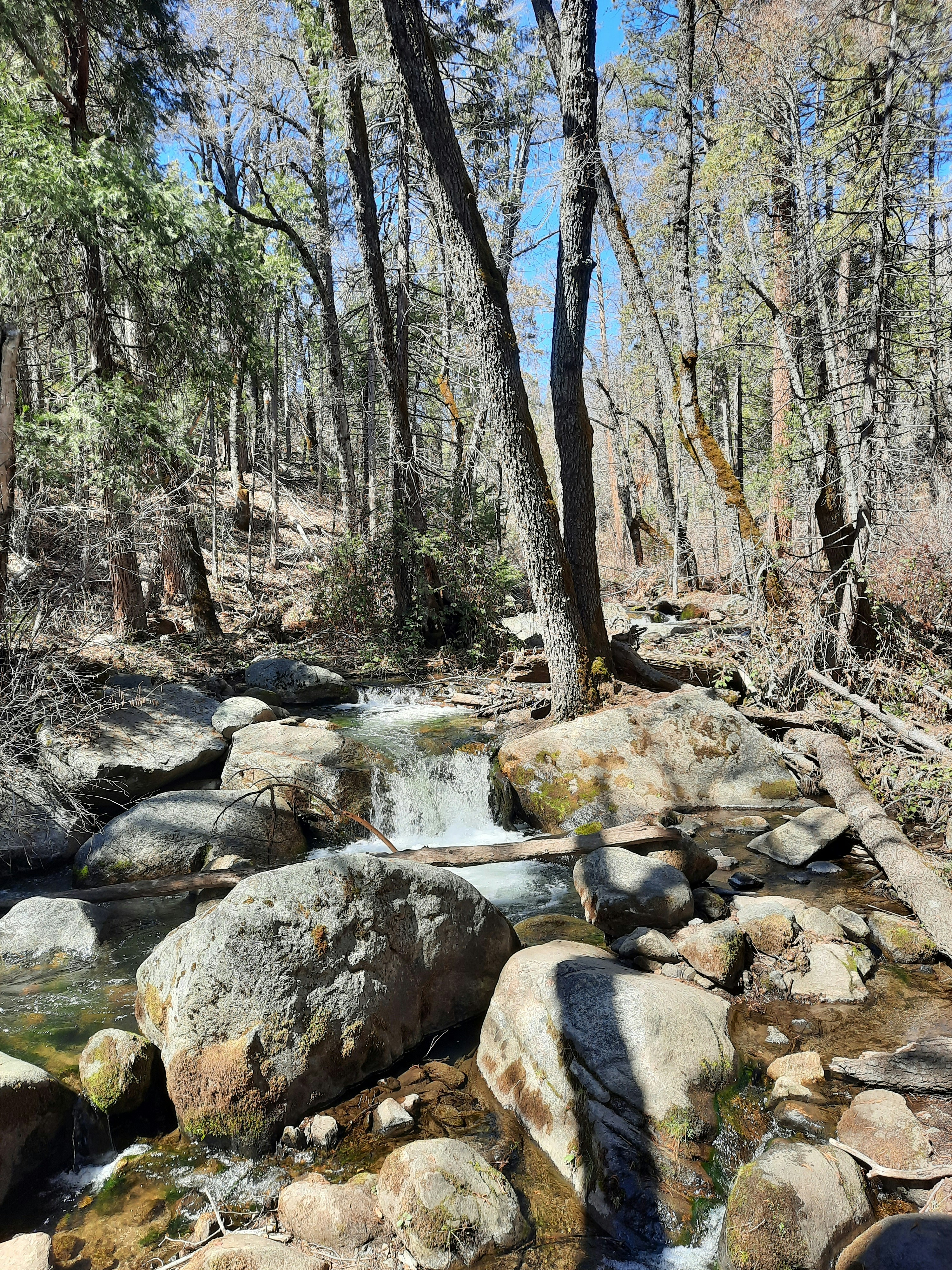 Photo by happy_duckling