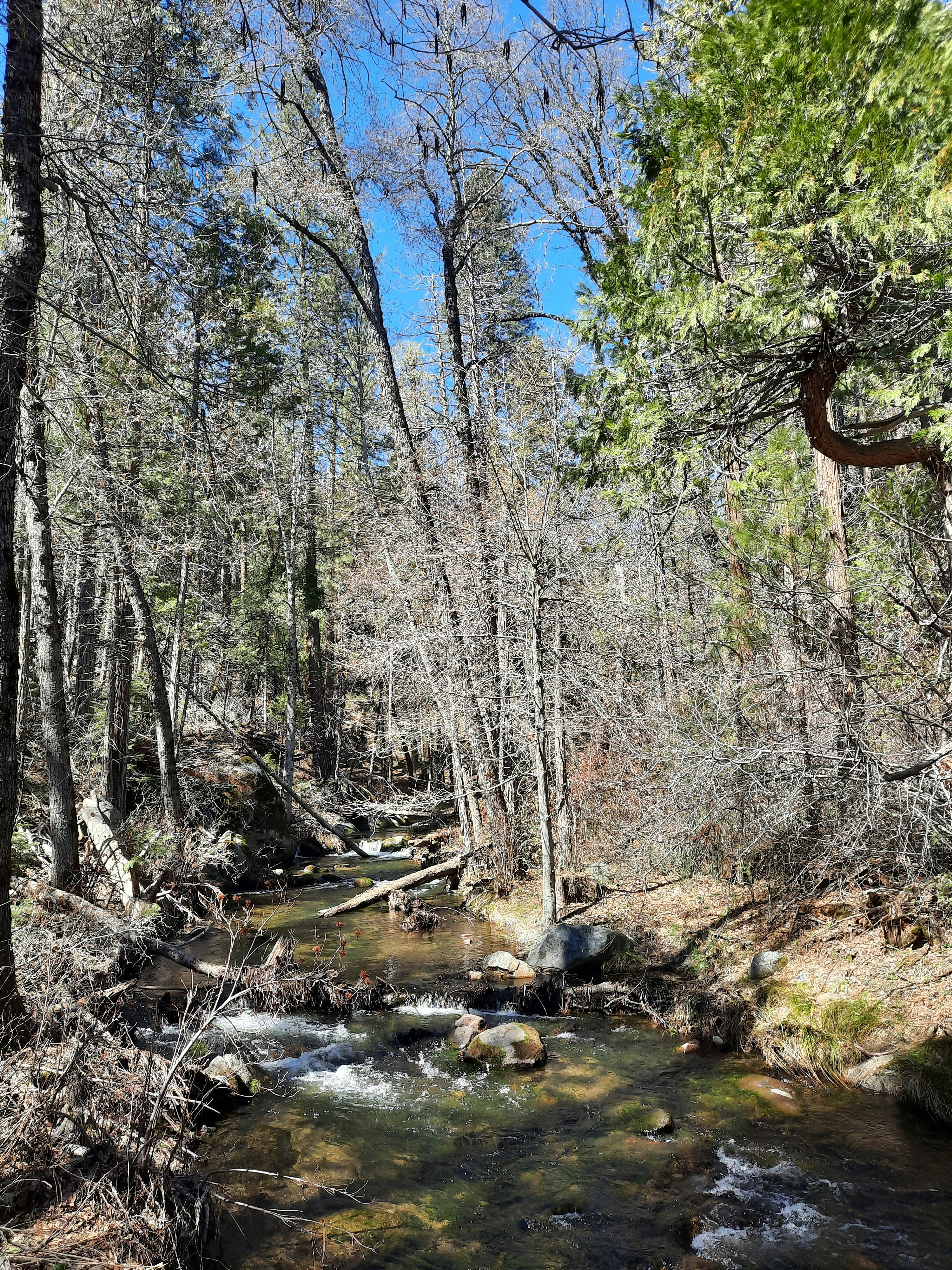 Photo by happy_duckling