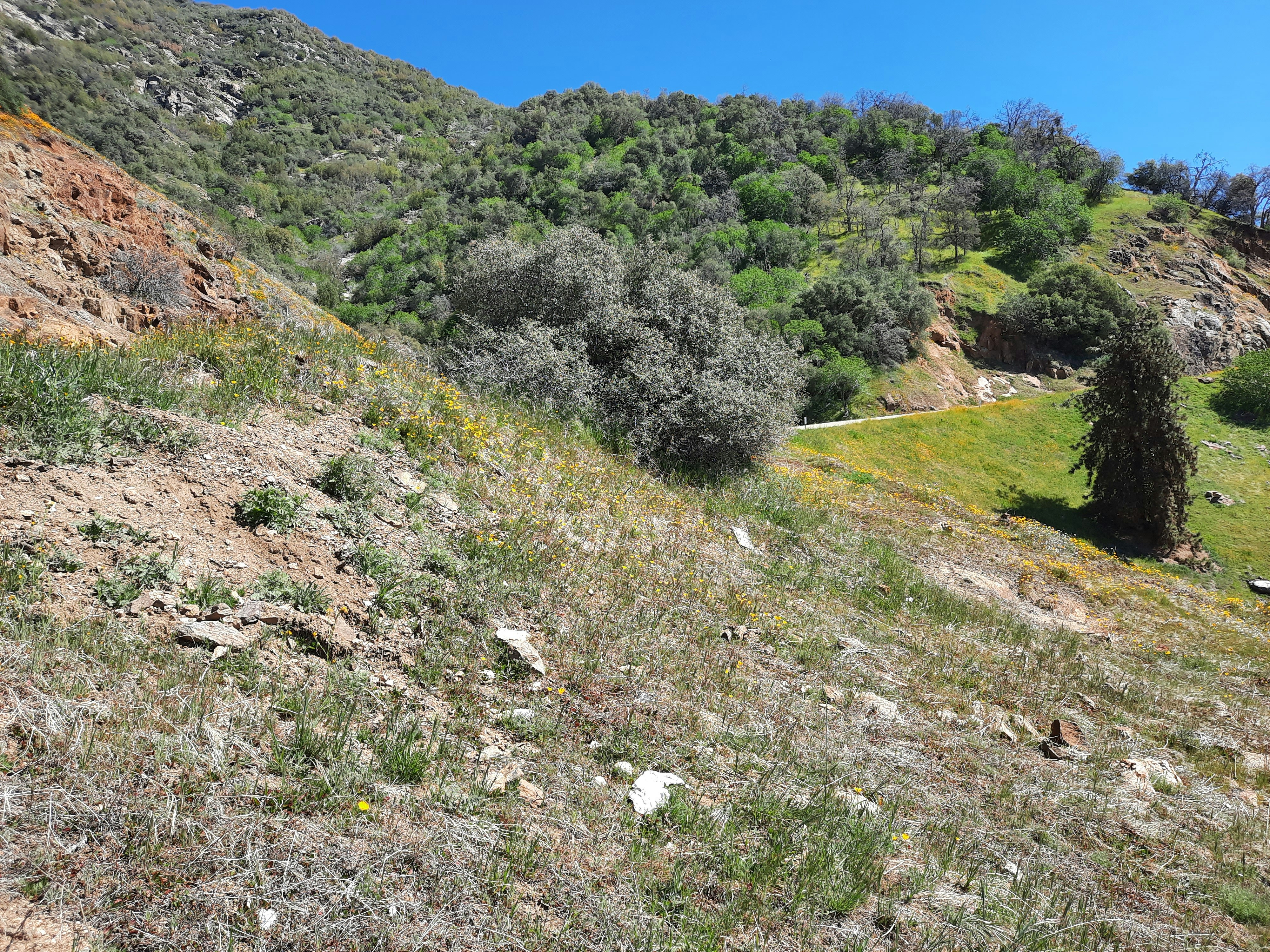 Photo by happy_duckling